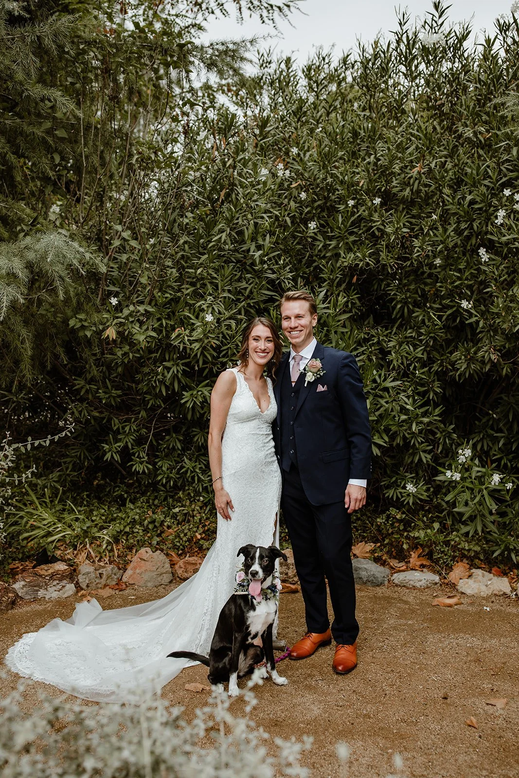 bride in a v-neck lace gown and a groom in a navy three-piece suit stand in front of a green oleander hedge with their black and white dog, who wears a floral collar.