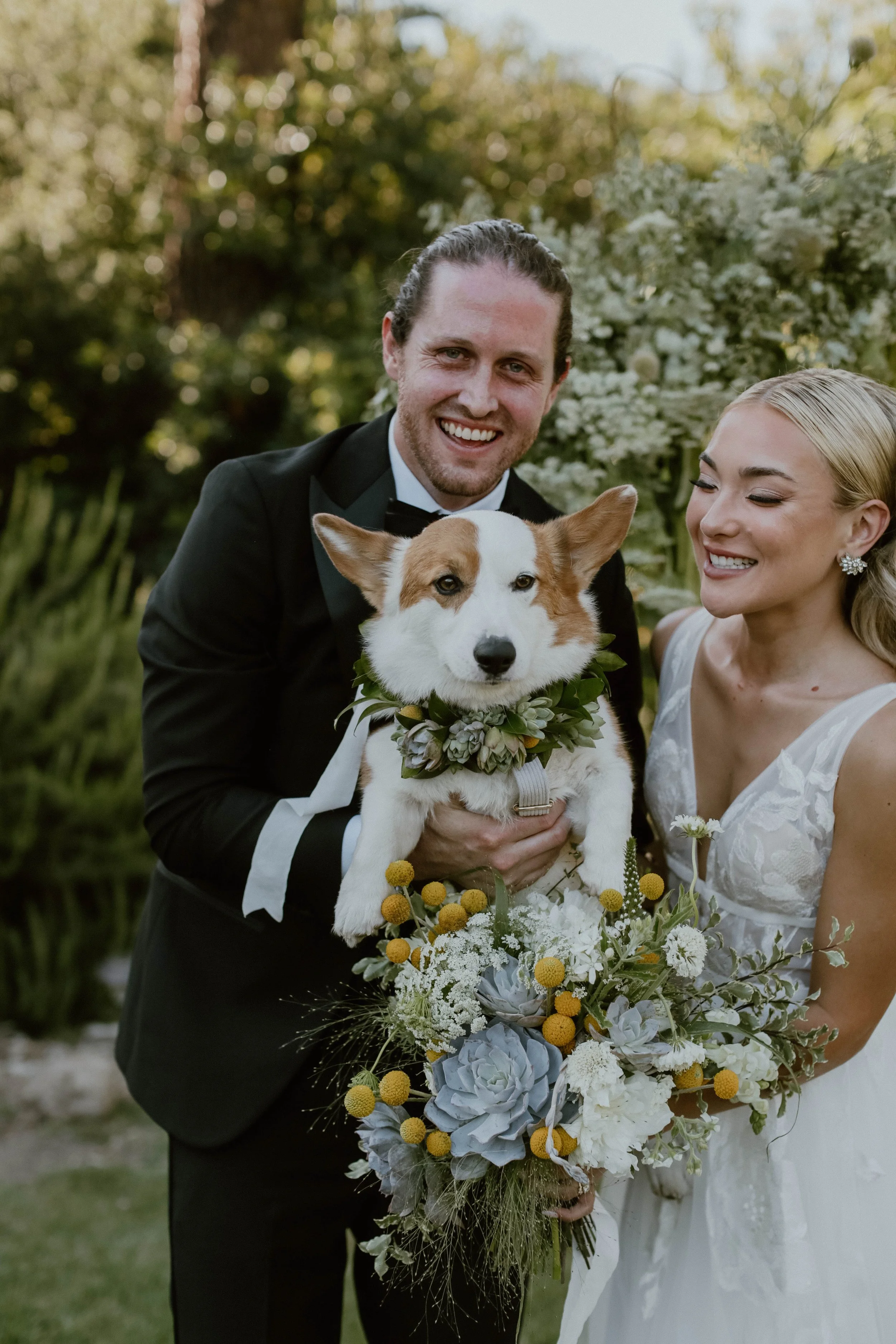 A bride and groom hold their corgi, who is wearing a lush succulent floral collar that matches the bride's blue and yellow desert-toned bouquet.