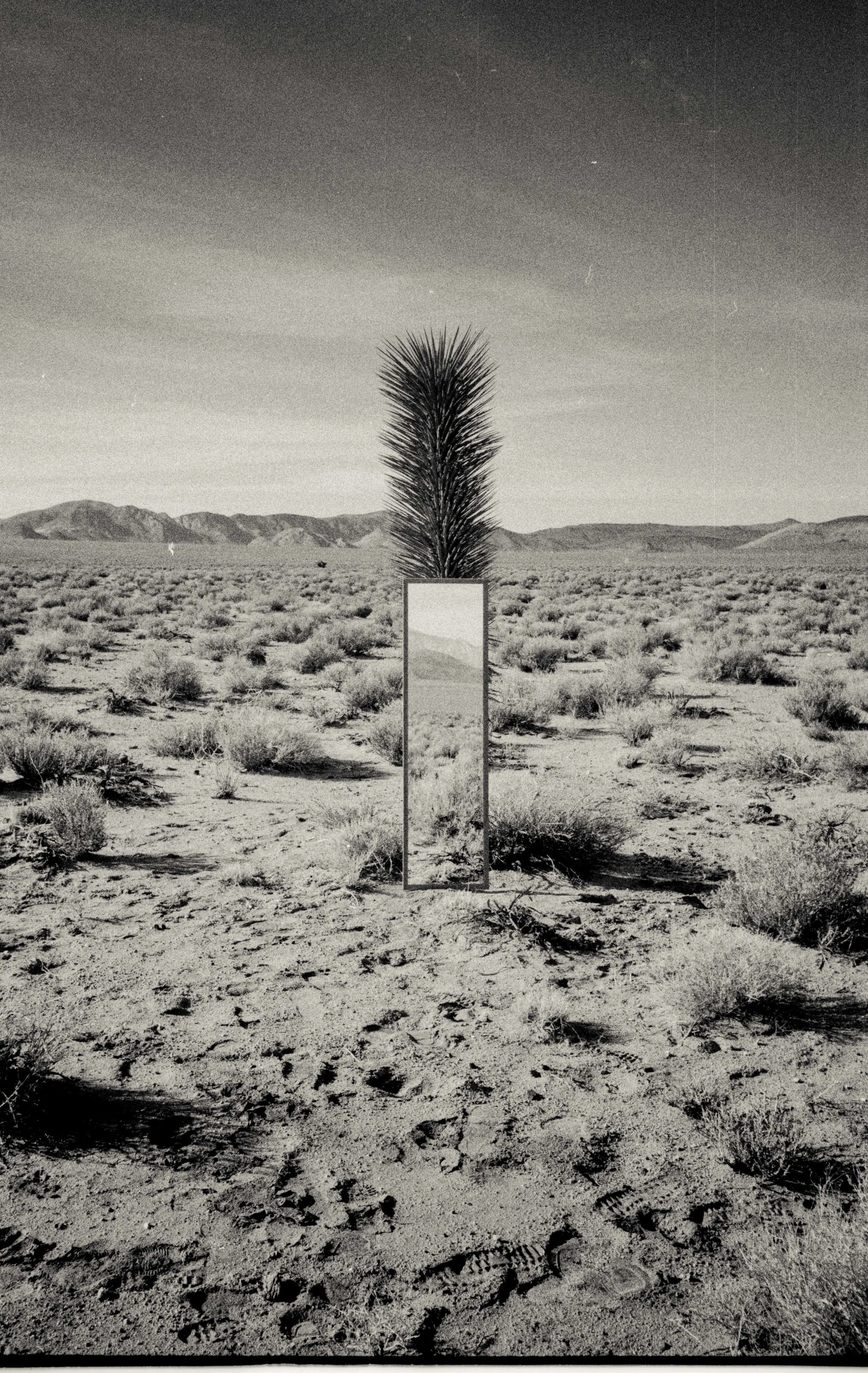 The Joshua Tree and The Mirror.