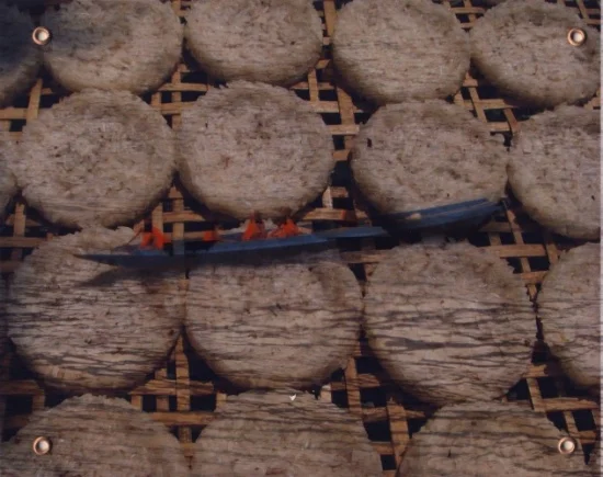 MONKS ON RICE CAKES