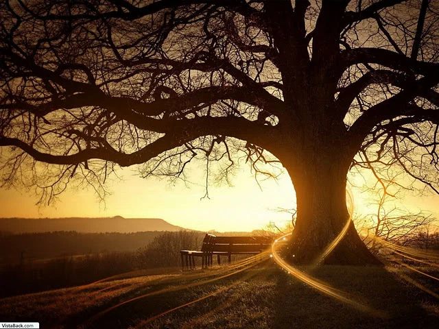 inspiretree.jpg