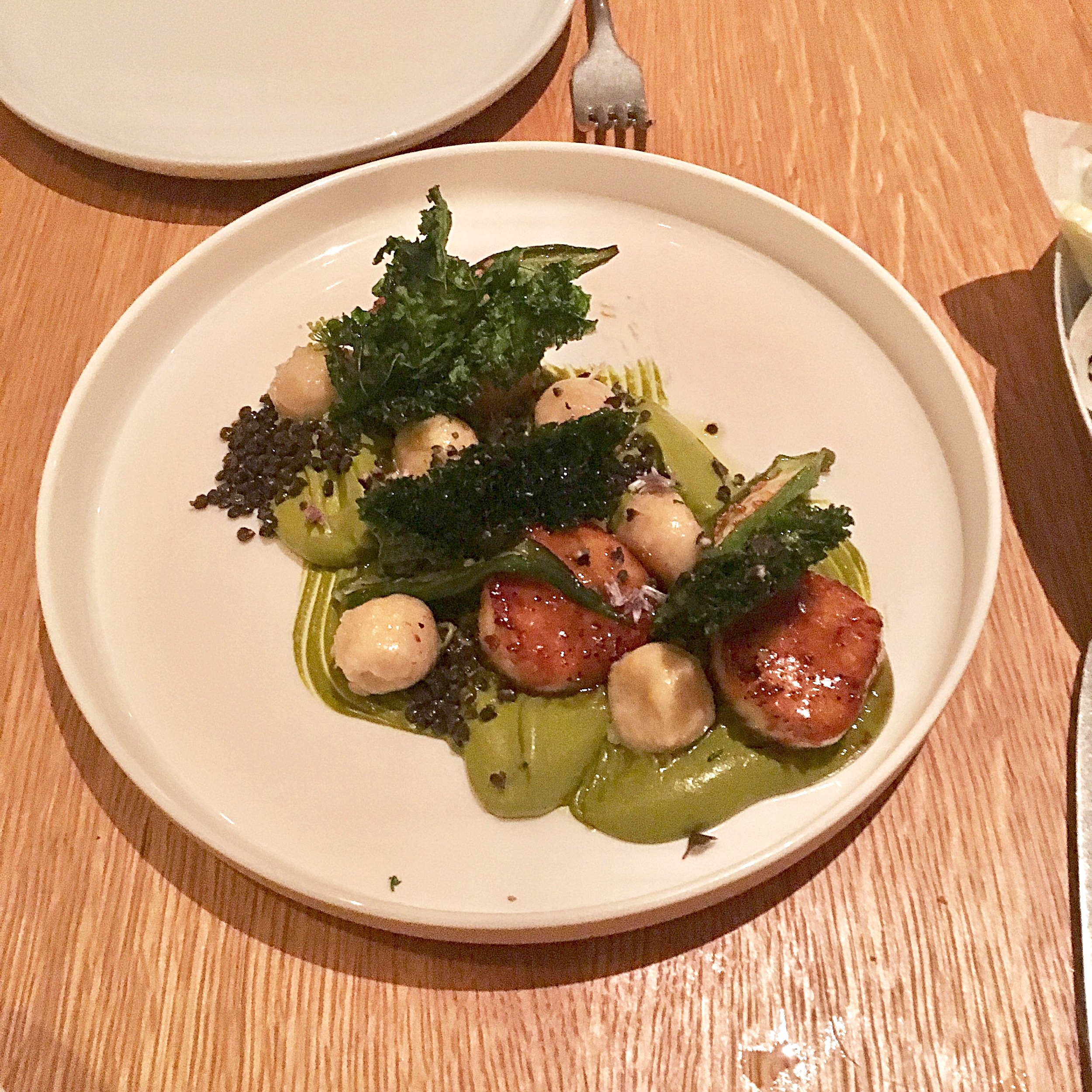 white & green scallops // seared scallops, ricotta gnudi, sorrel cumin cream, pine nuts