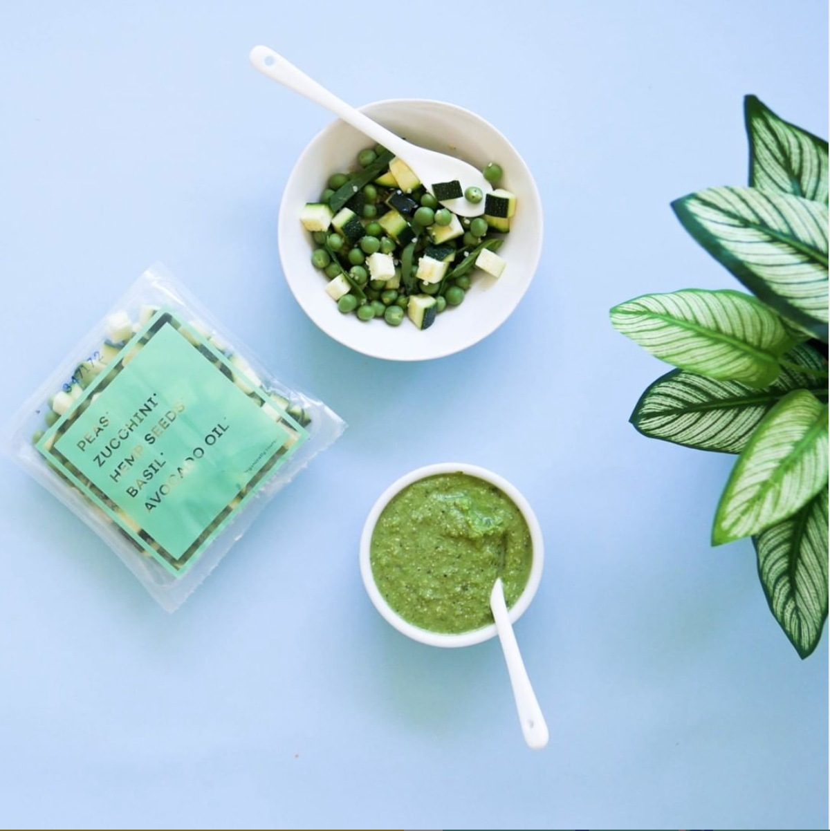 raised real baby food- BRITT20