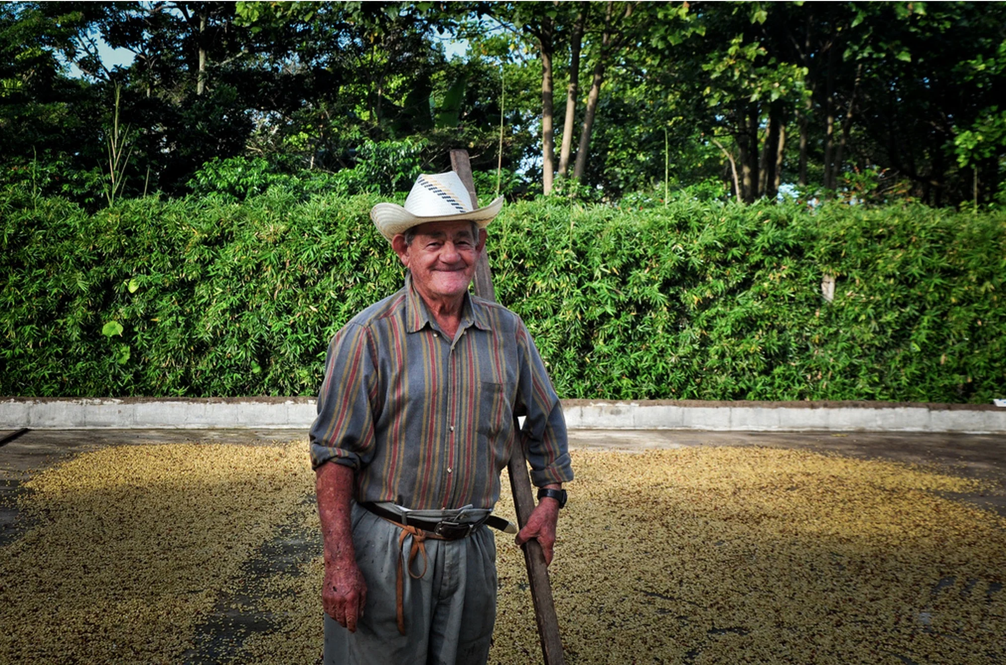 Screenshot 2015-10-08 16.36.56.jpeg