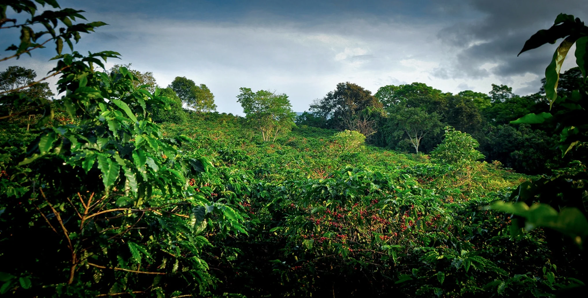 Screenshot 2015-10-08 16.35.26.jpeg