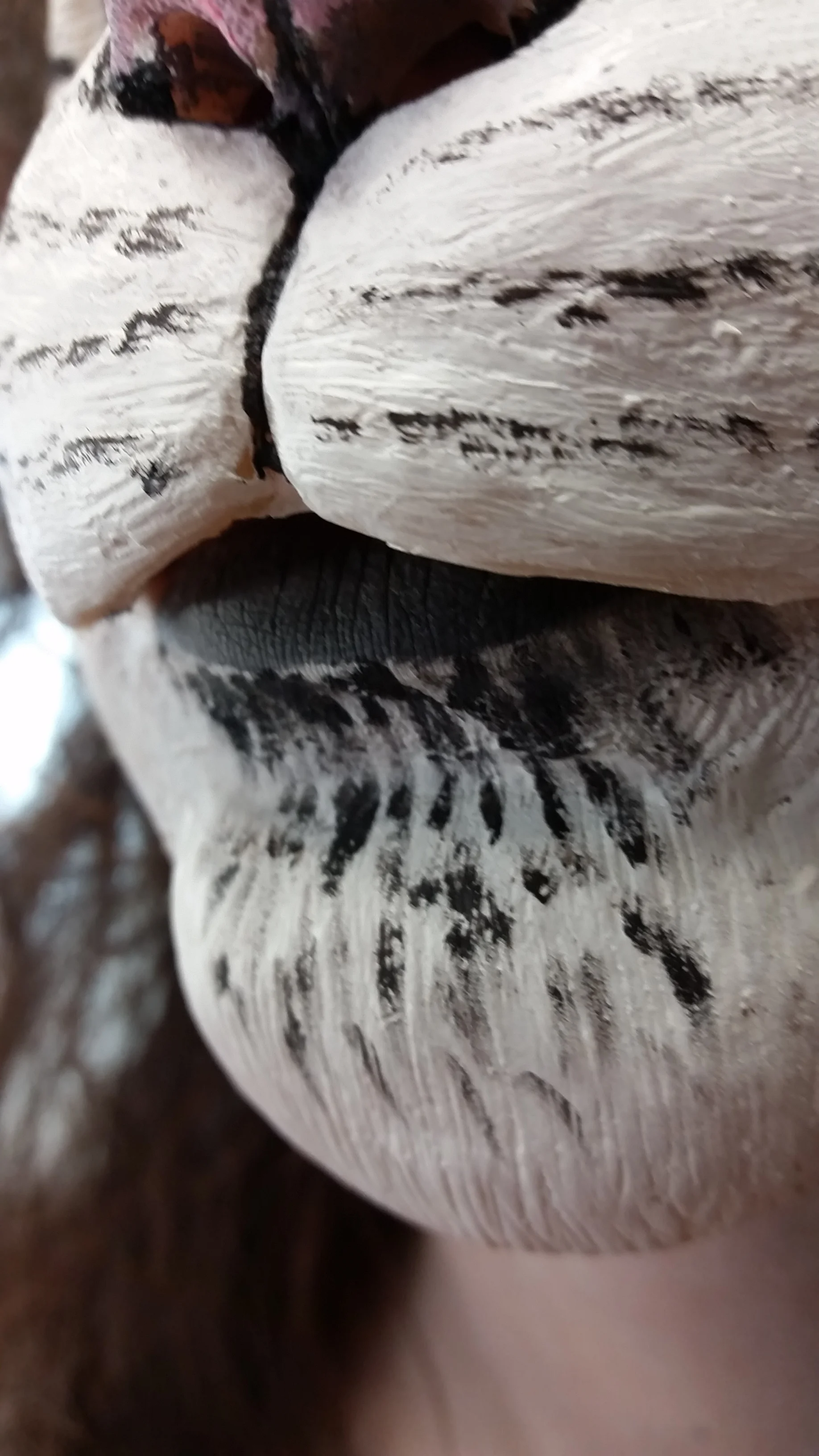 applied texture detail