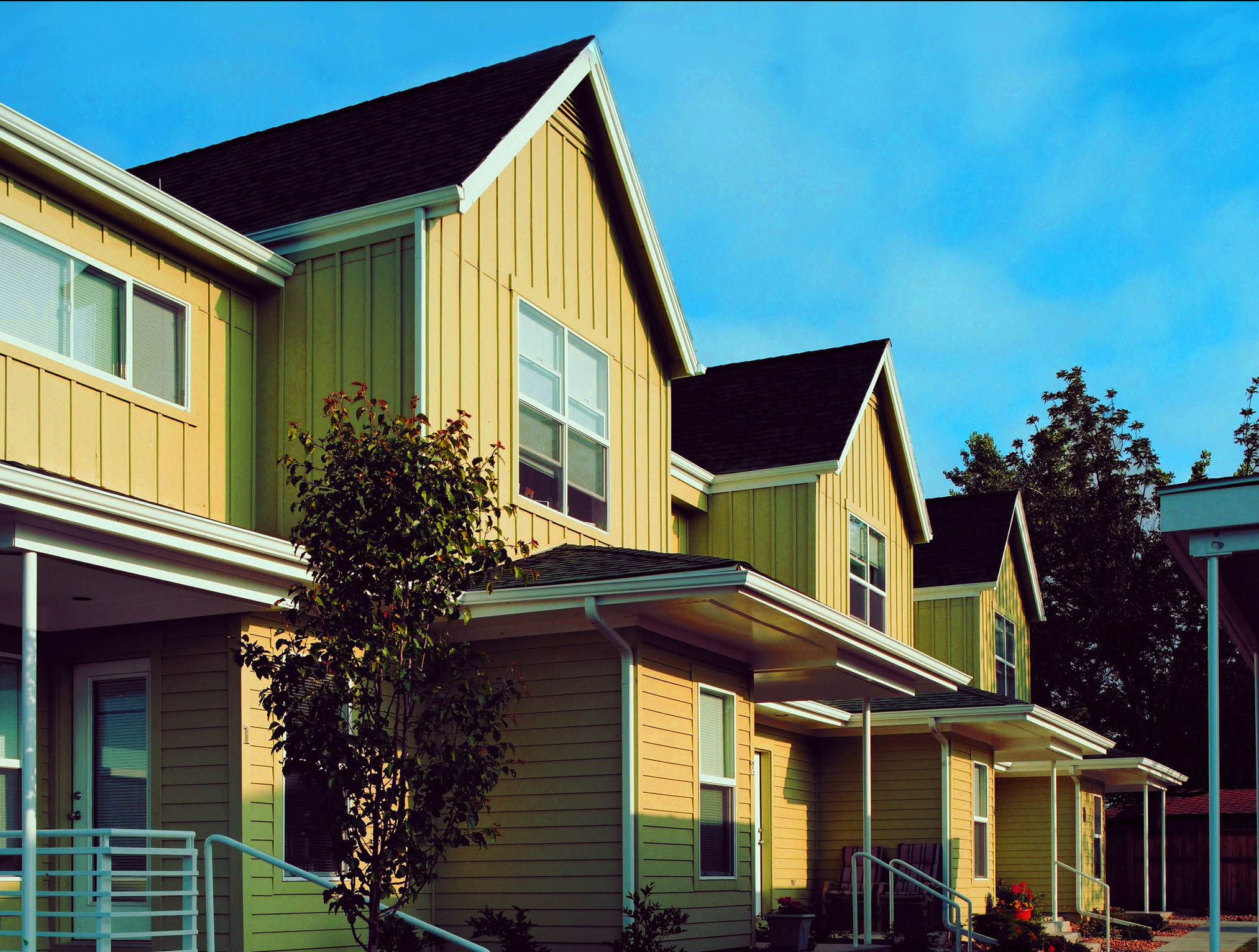 for web LHA image color edited copy.jpg