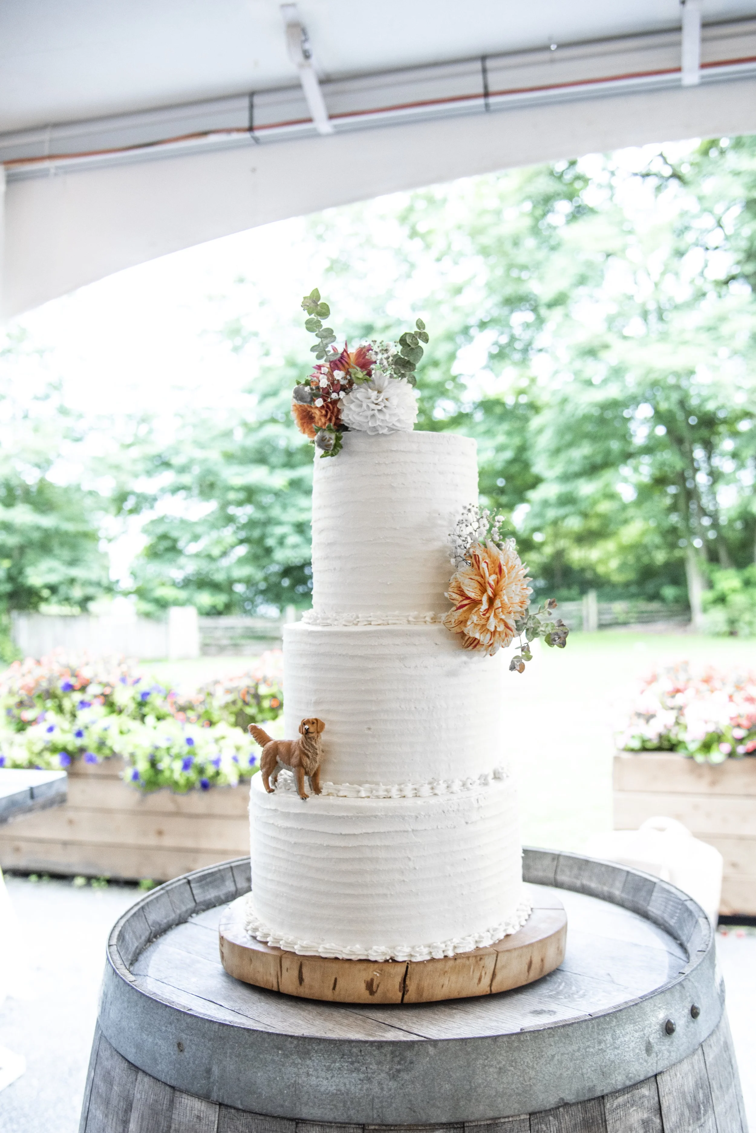 CAKE-1.jpg