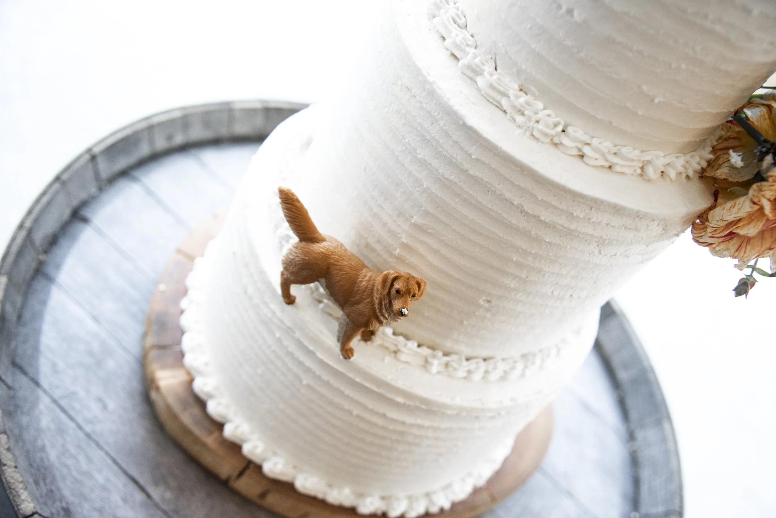 CAKE-3.jpg