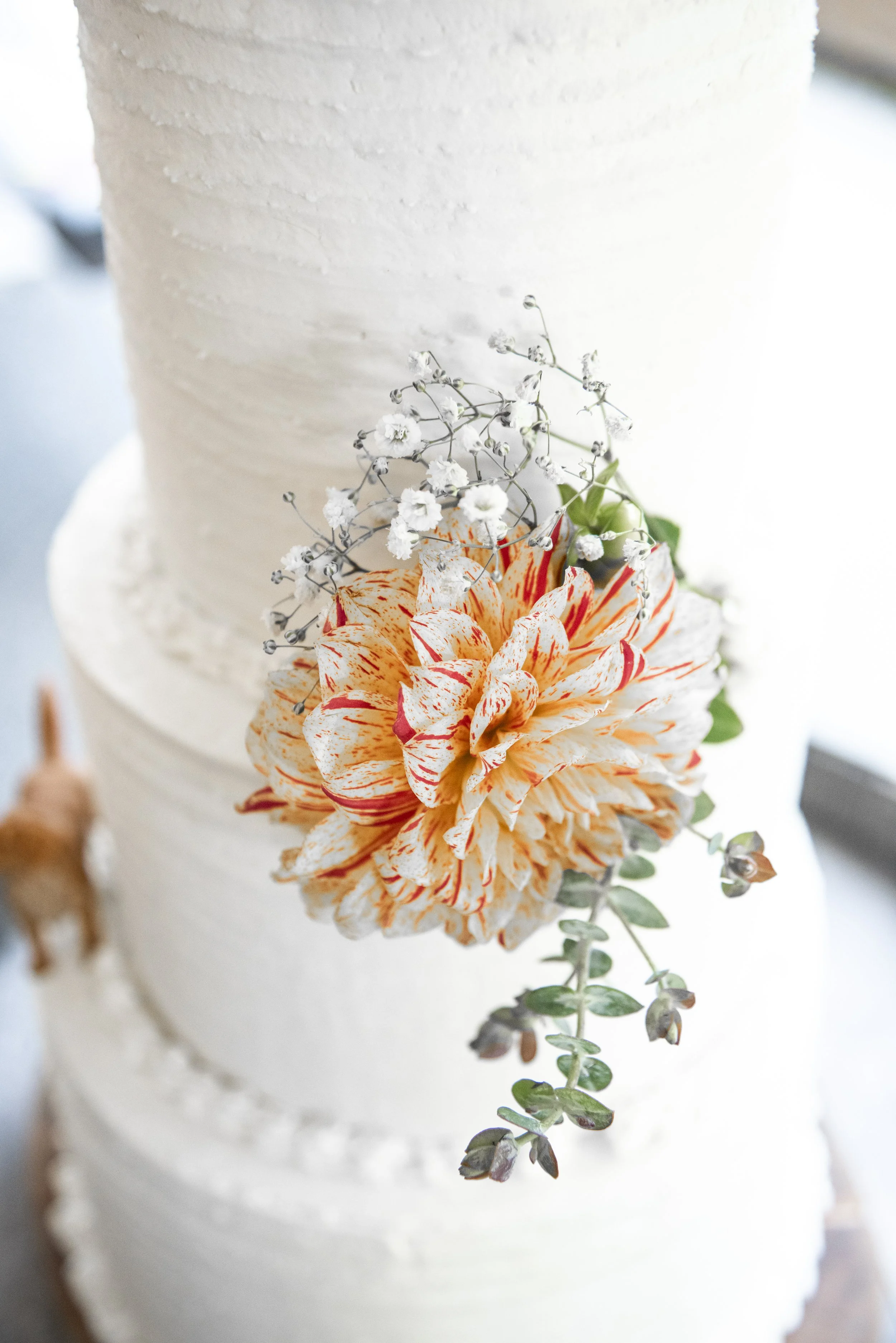 CAKE-4.jpg