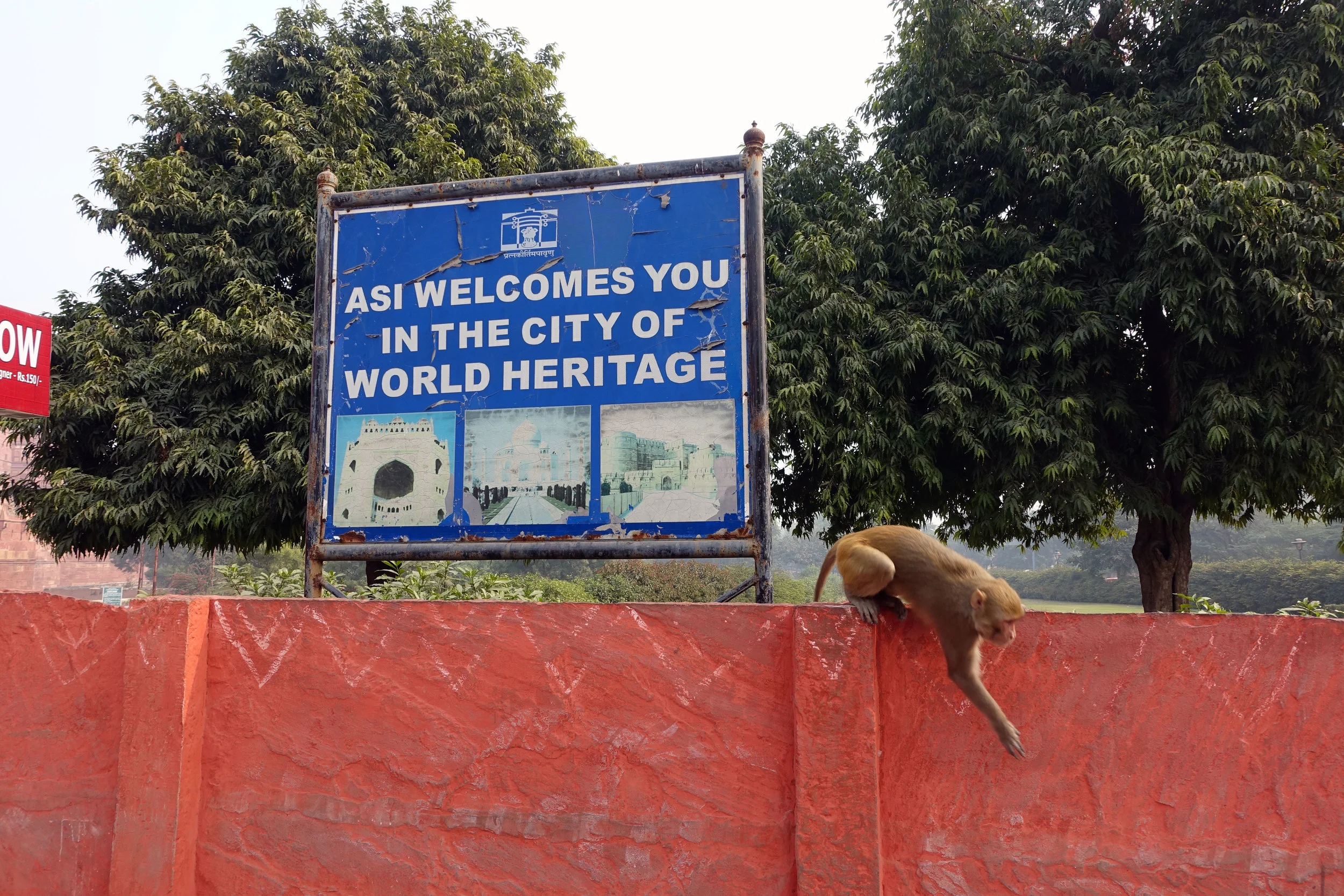 A exit/welcome sign complete with live monkey's designating the Fort as a World Heritage landmark 