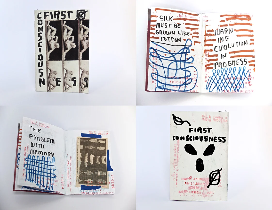 Artist-Books-and-journal First-Counsciousness.jpg