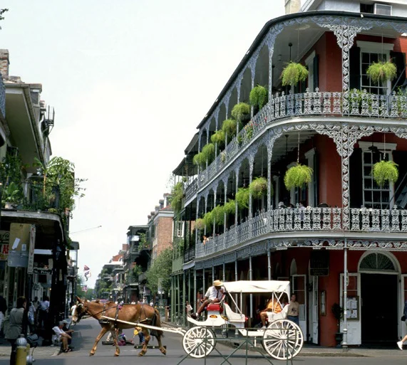 Steamy Summer Paint Ideas for a New Orleans Girl