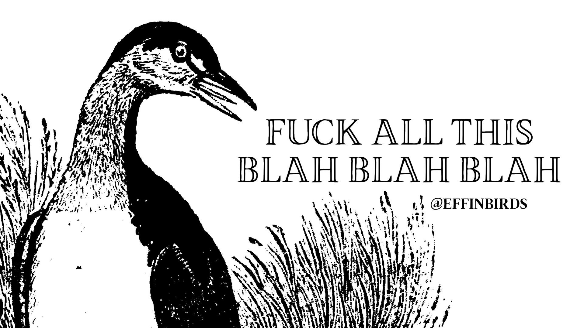 Academic publishing: an interesting and complicated beast