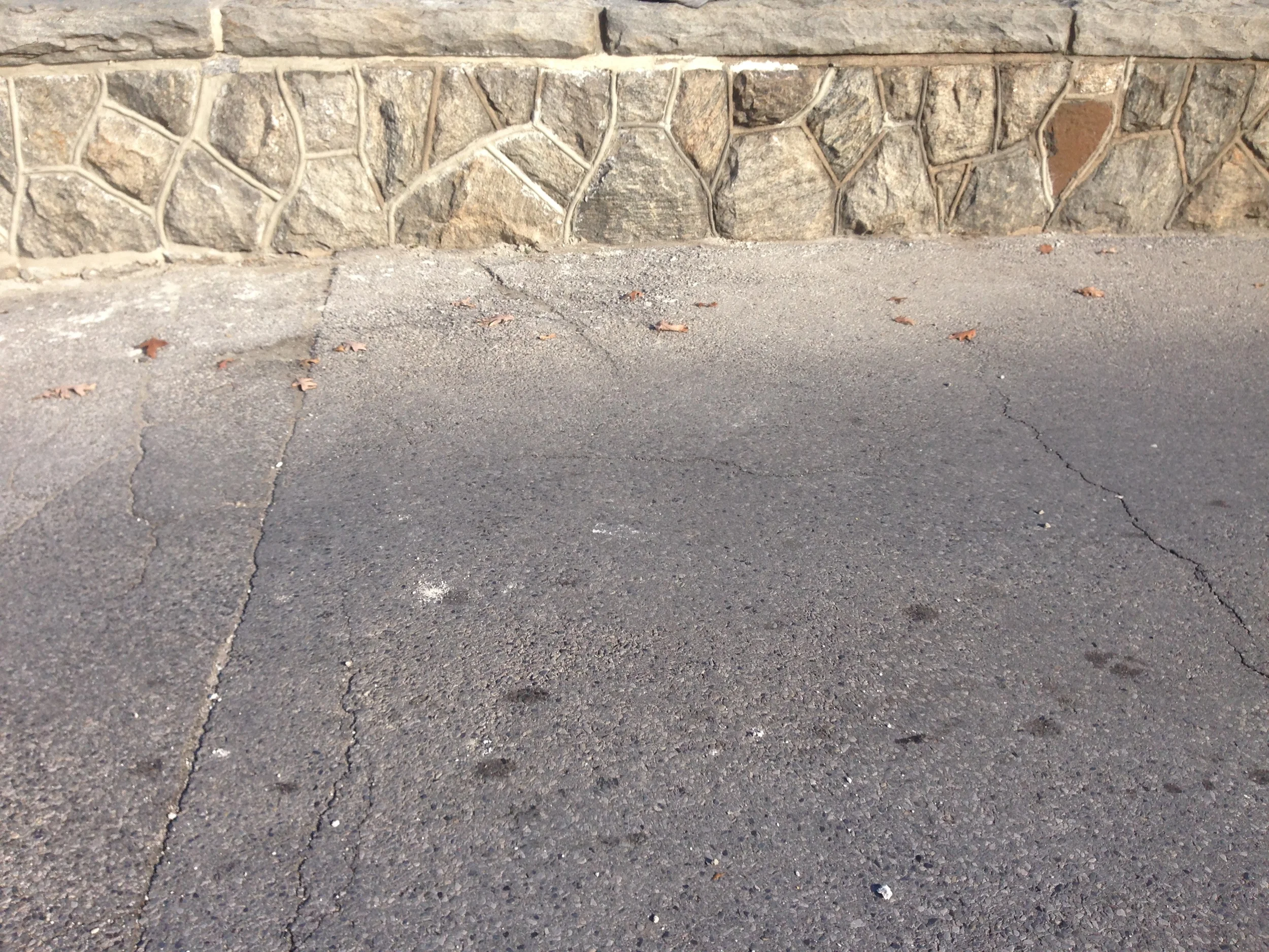 commerical wall restoration.JPG