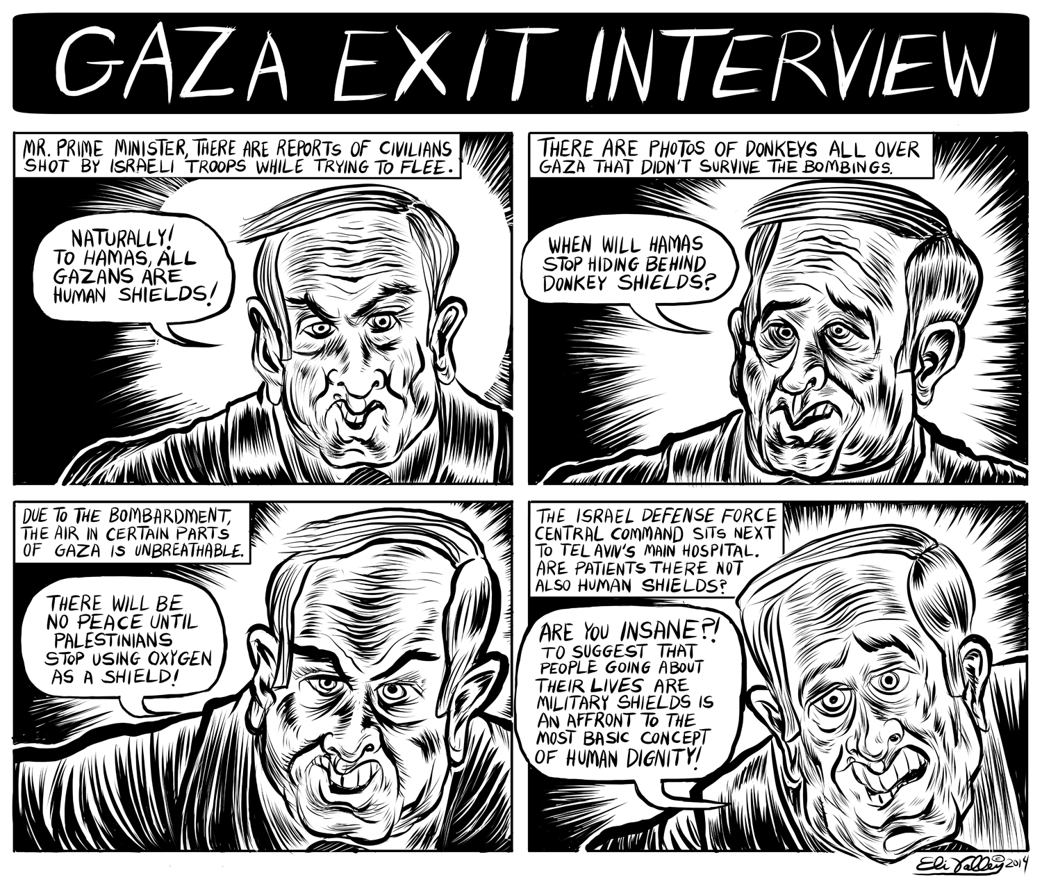 Gaza Exit Interview: Human Shields. +972 Magazine, 8/6/14