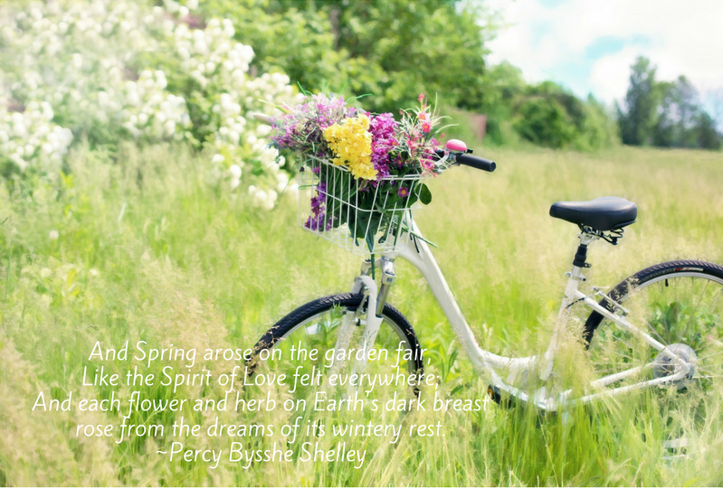Spring inspiration.png