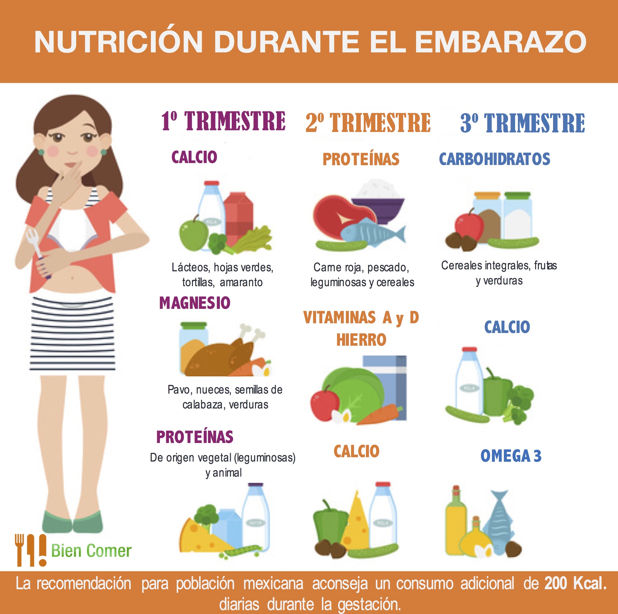Nutrición durante el embarazo #BienComer
