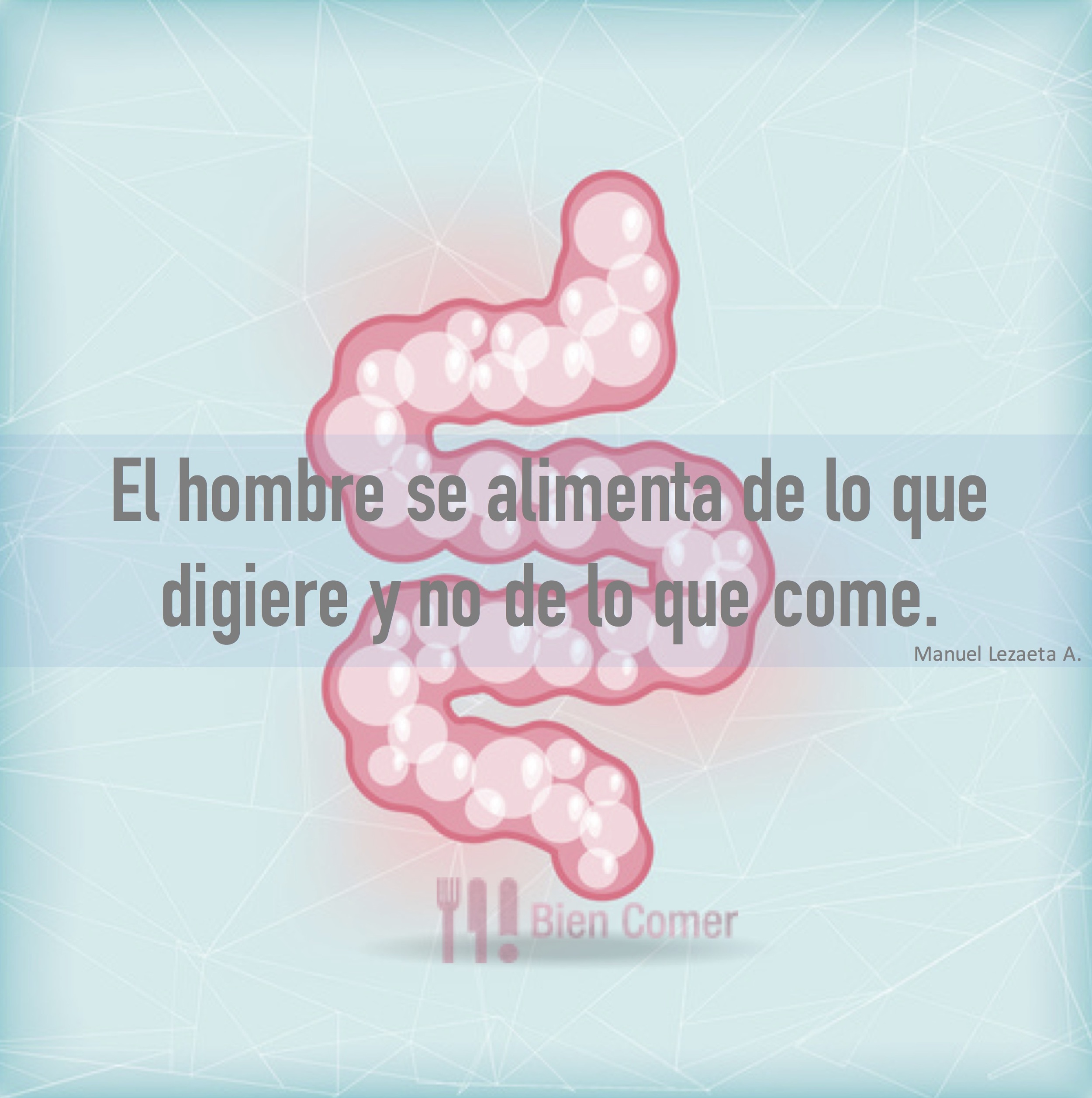 Digestión frase.jpg