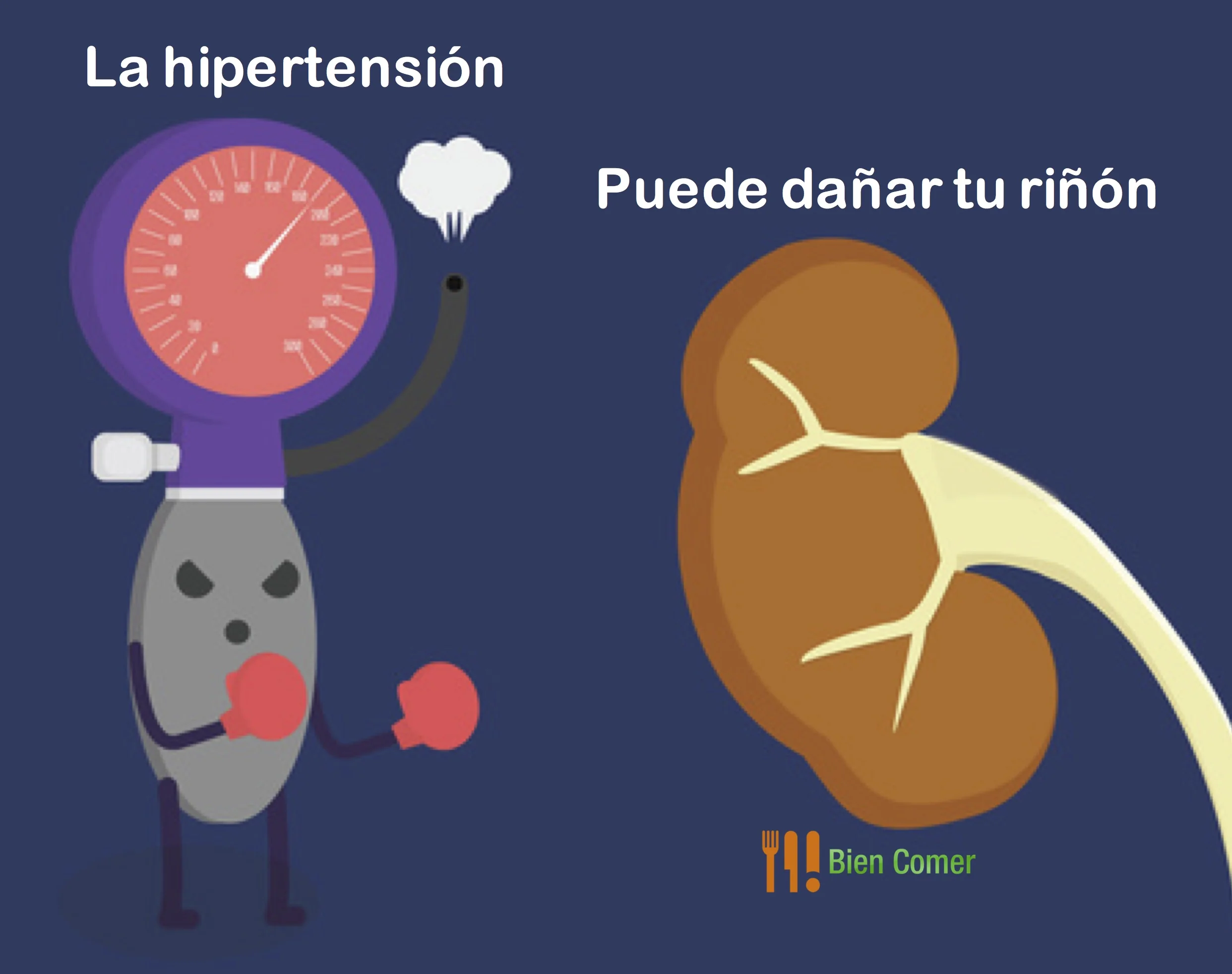 Hipertensión- Riñón.jpg