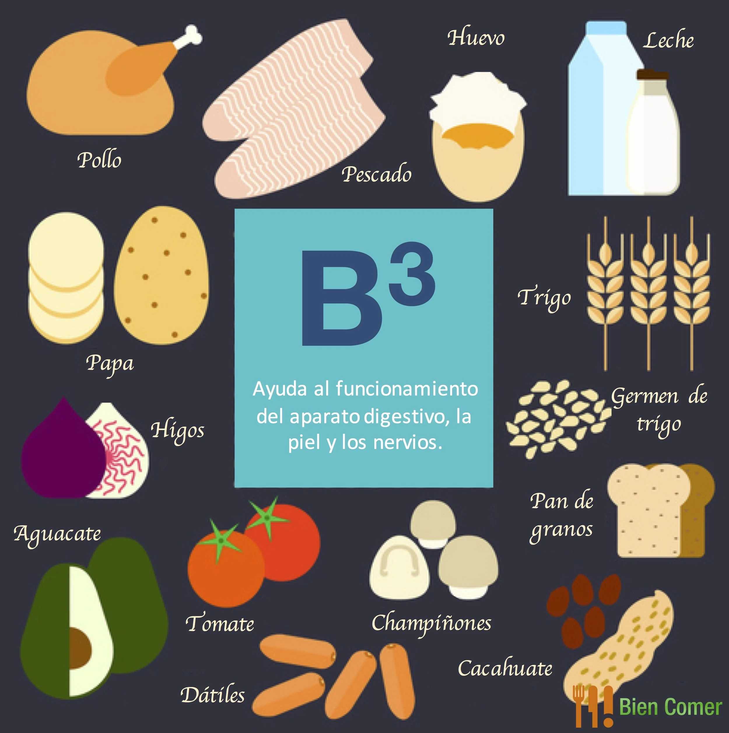 B3 o Niacina — Bien Comer