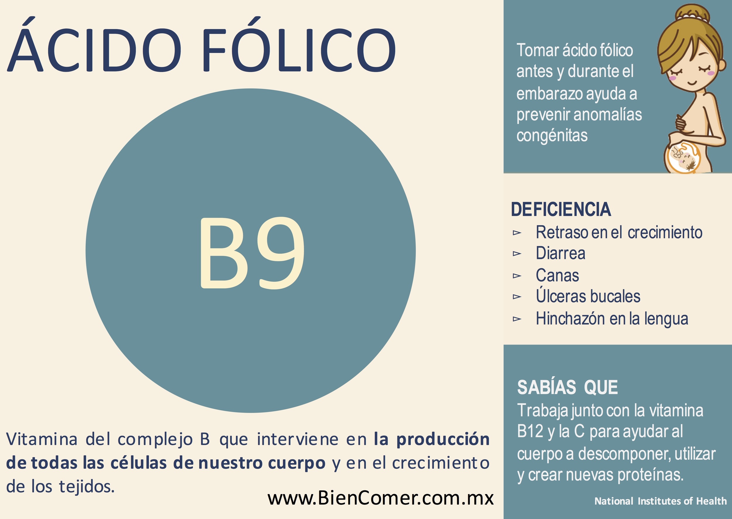 Qué efectos tiene el ácido fólico o la vitamina B9 en el embarazo?