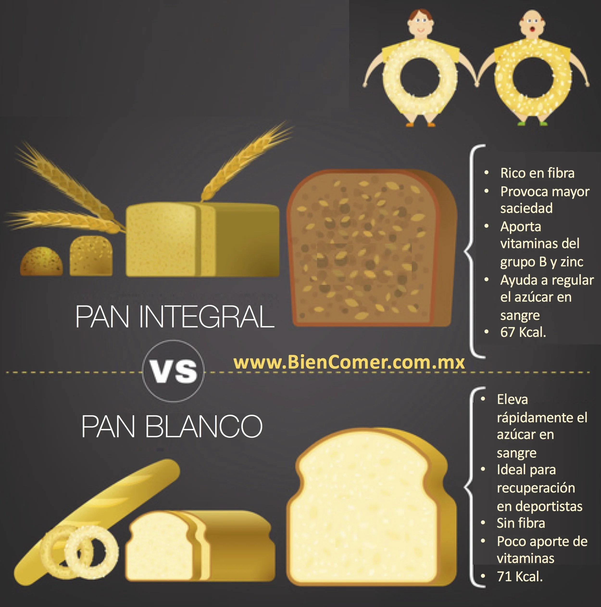 ¿Cuál es la diferencia entre el pan blanco y el integral?
