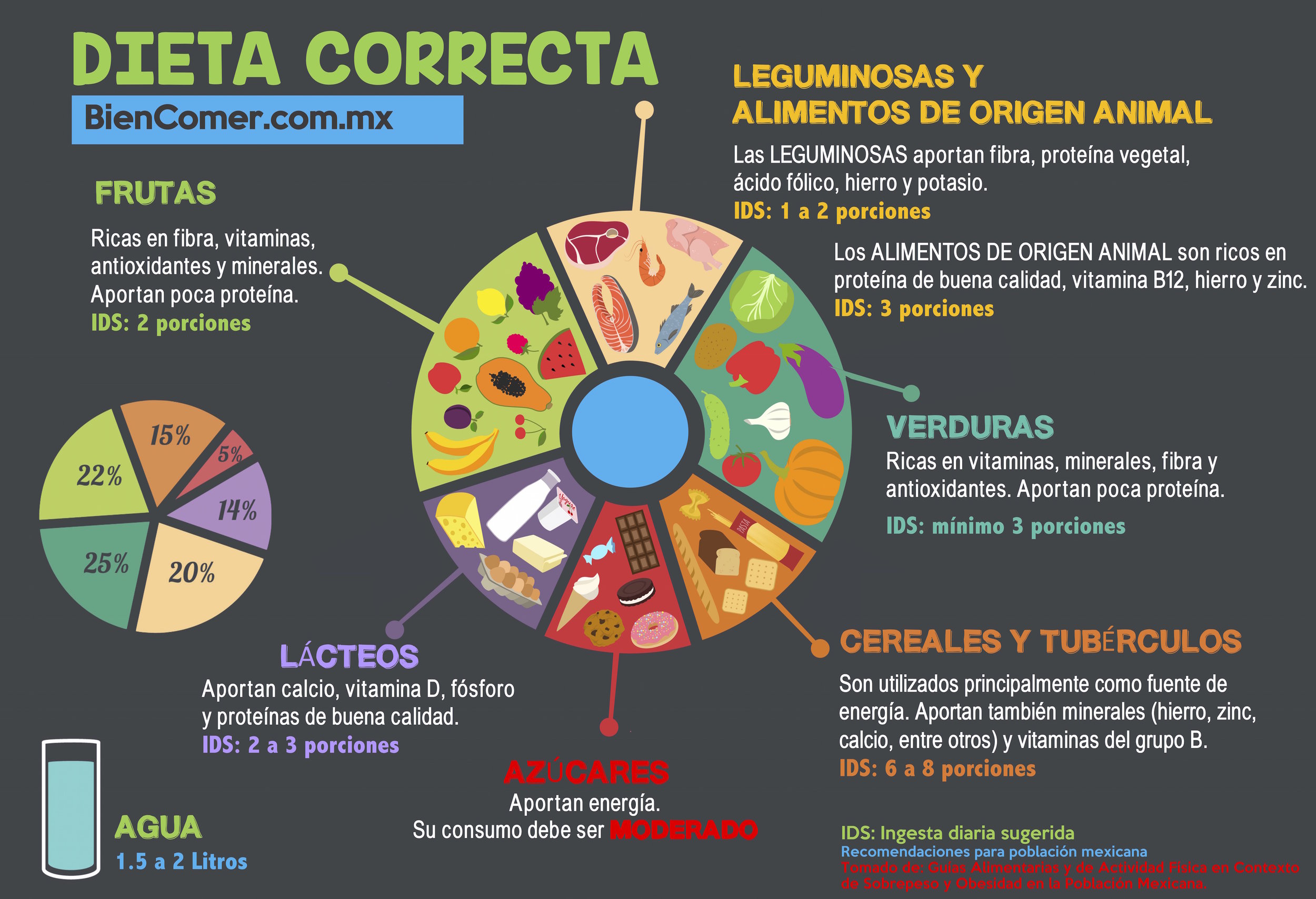 ¿Cómo debe ser la dieta correcta?