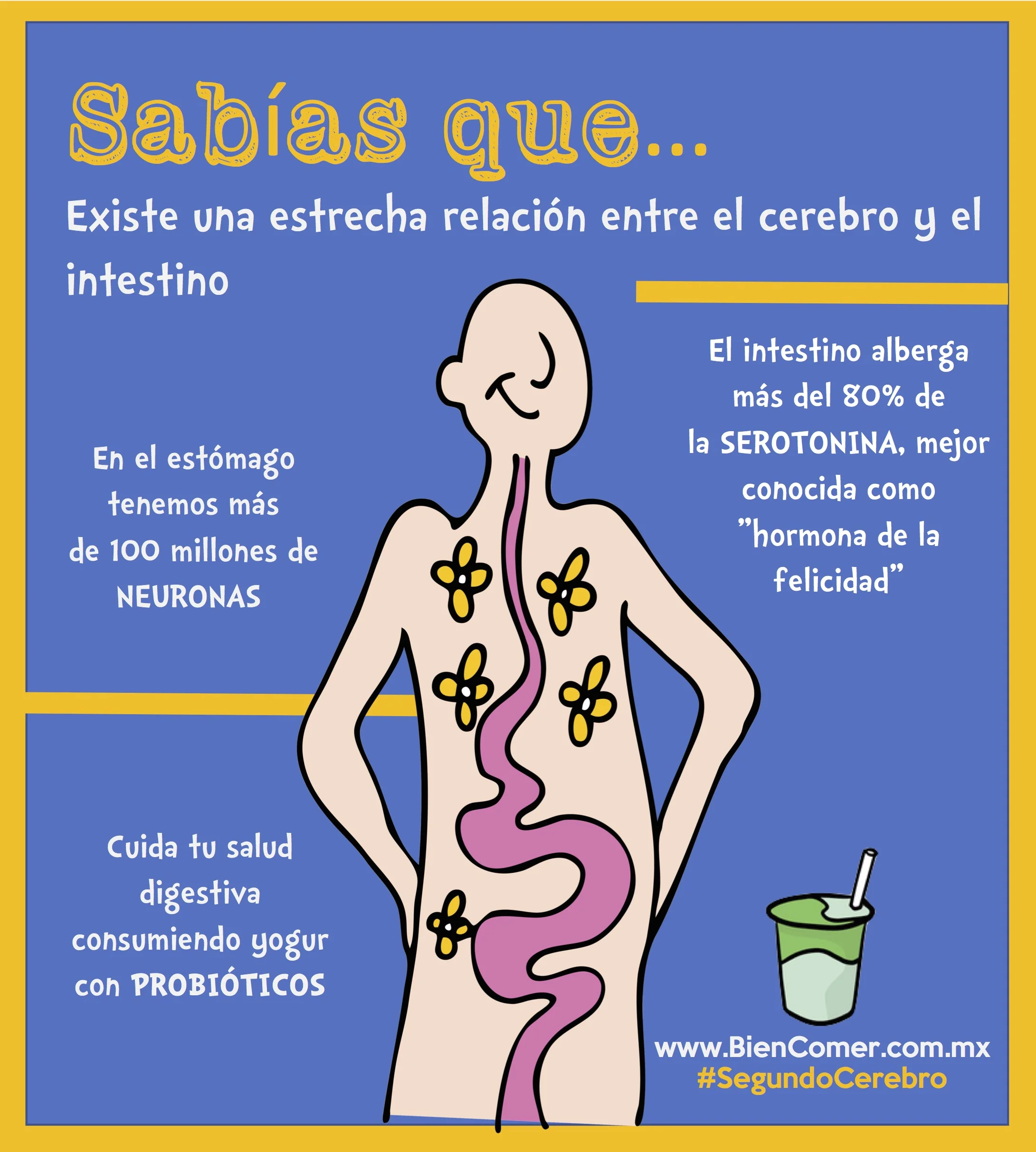 Segundo cerebro