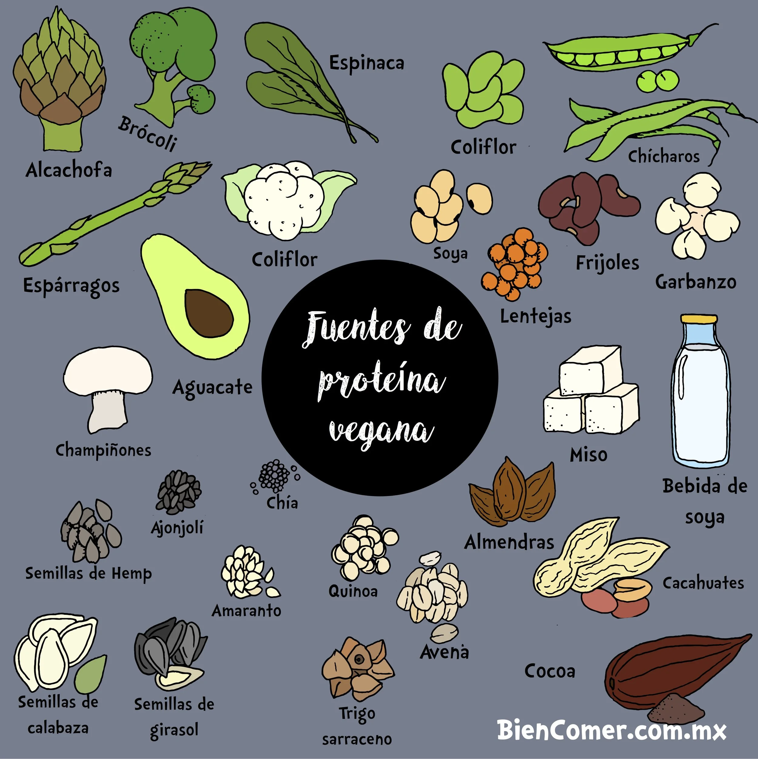 Fuente de proteínas vegetales