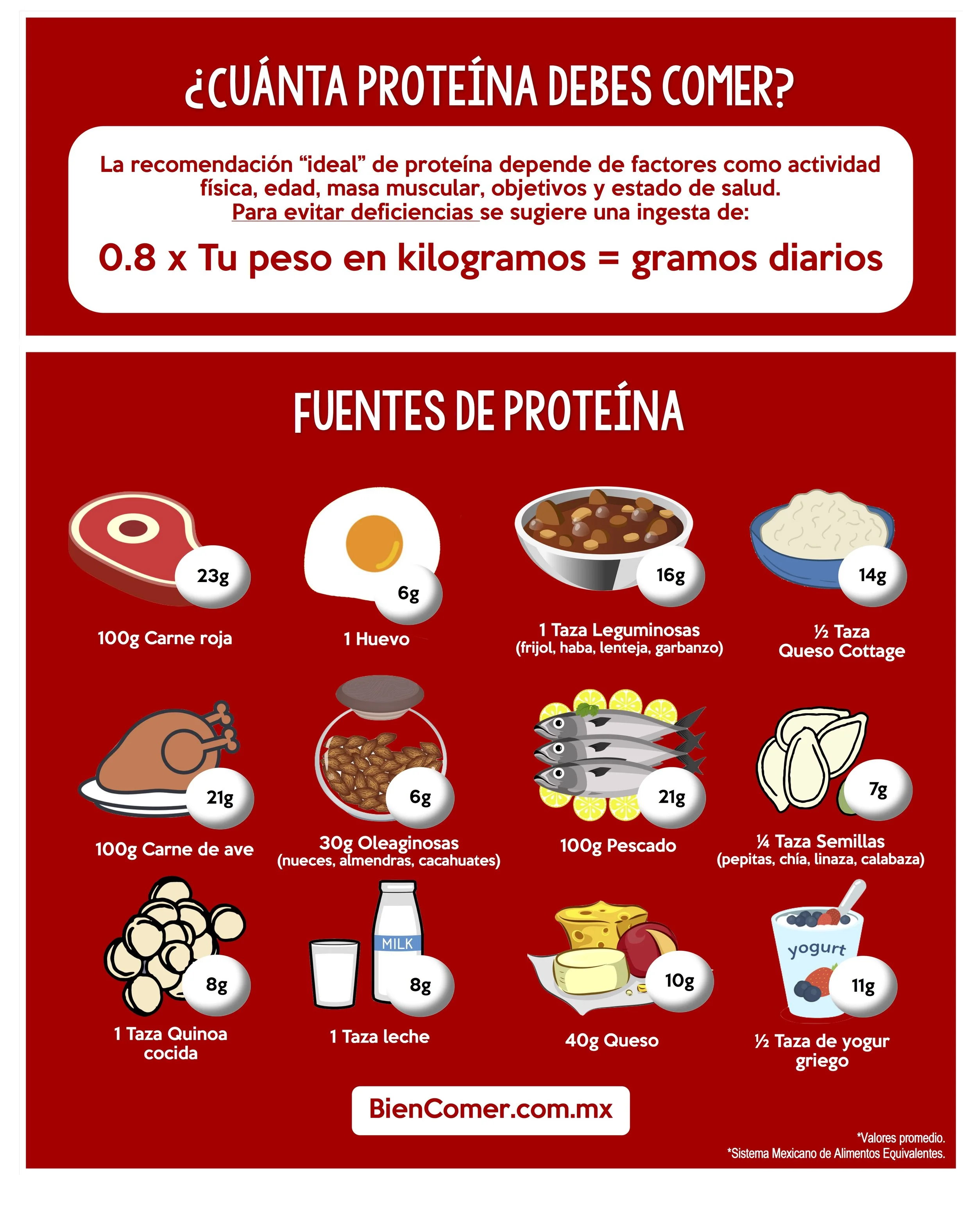 Proteína vegetal vs proteína animal — Bien Comer Proteína vegetal vs proteína animal — Bien Comer