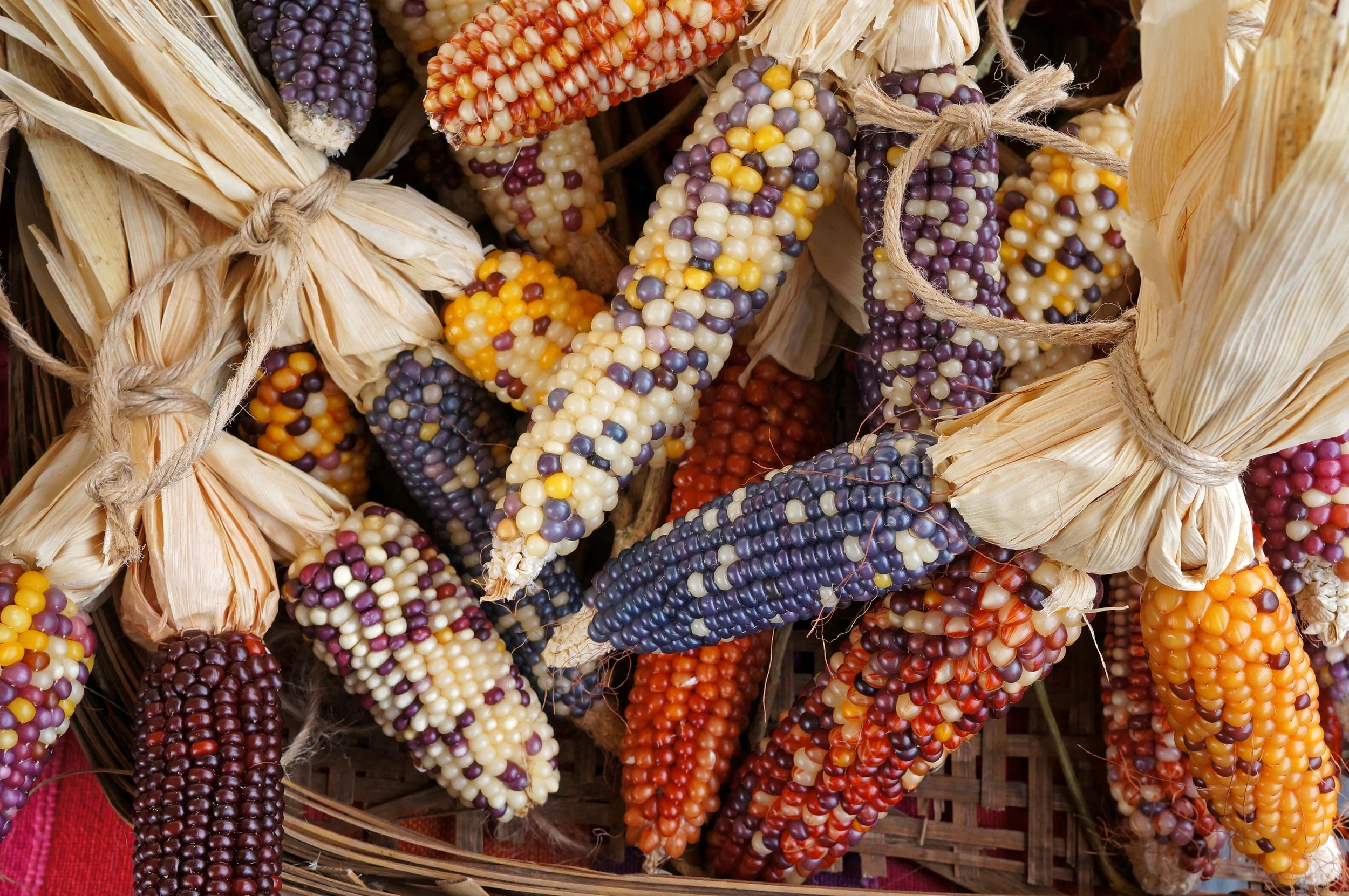 Triada mexicana.jpg