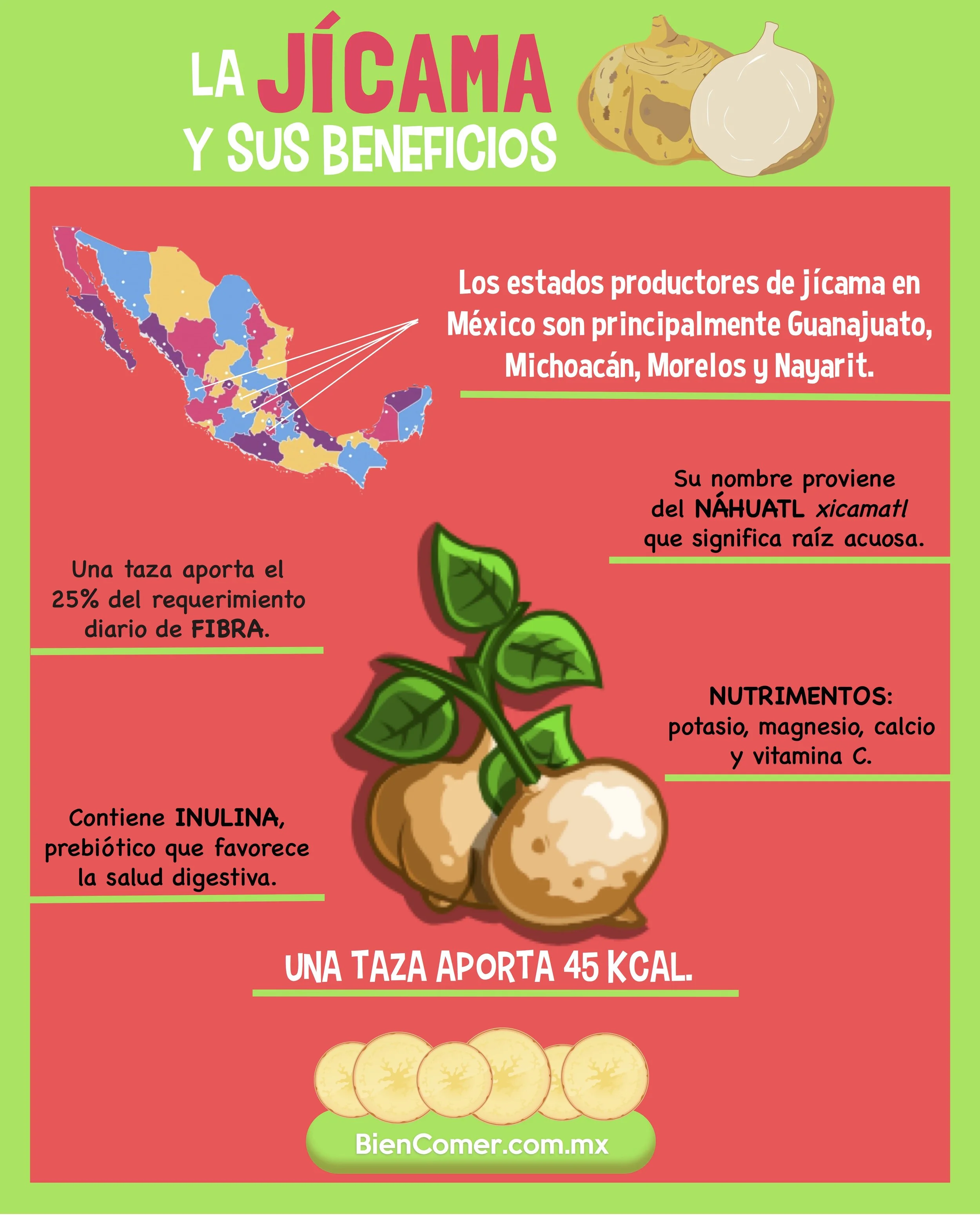 Beneficios de la jícama