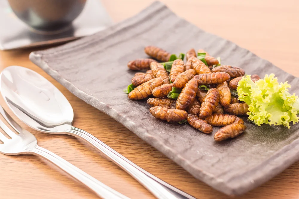 ¿Qué tan nutritivos son los insectos? — Bien Comer