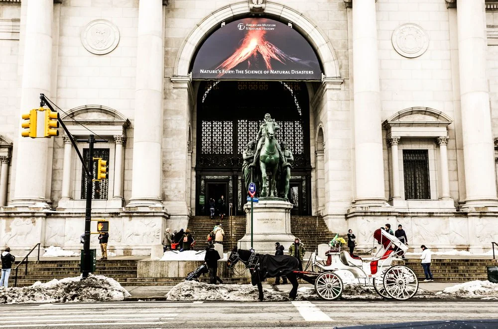 Museo de Historia Natural