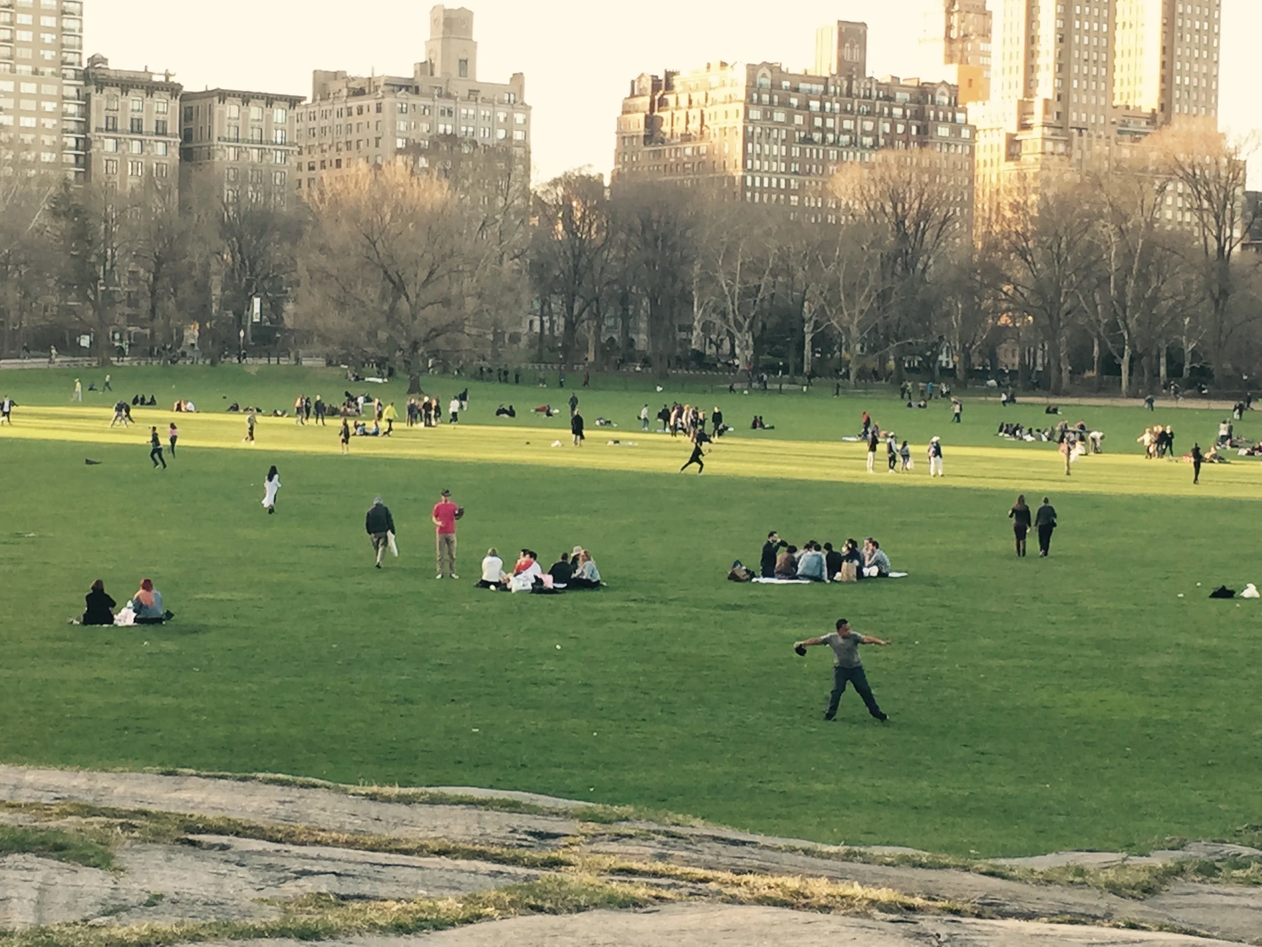Imprescindible: Central Park!