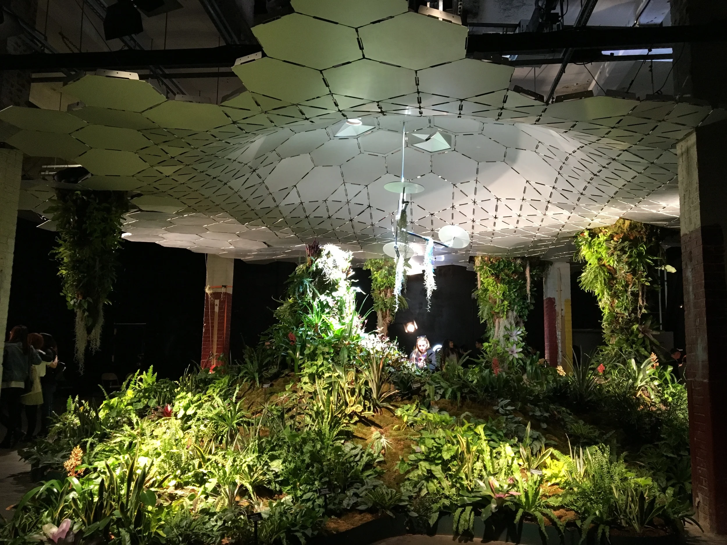 Proyecto Lowline en NYCC