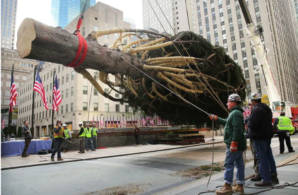 rockefeller christmas tree inlovenyc.png