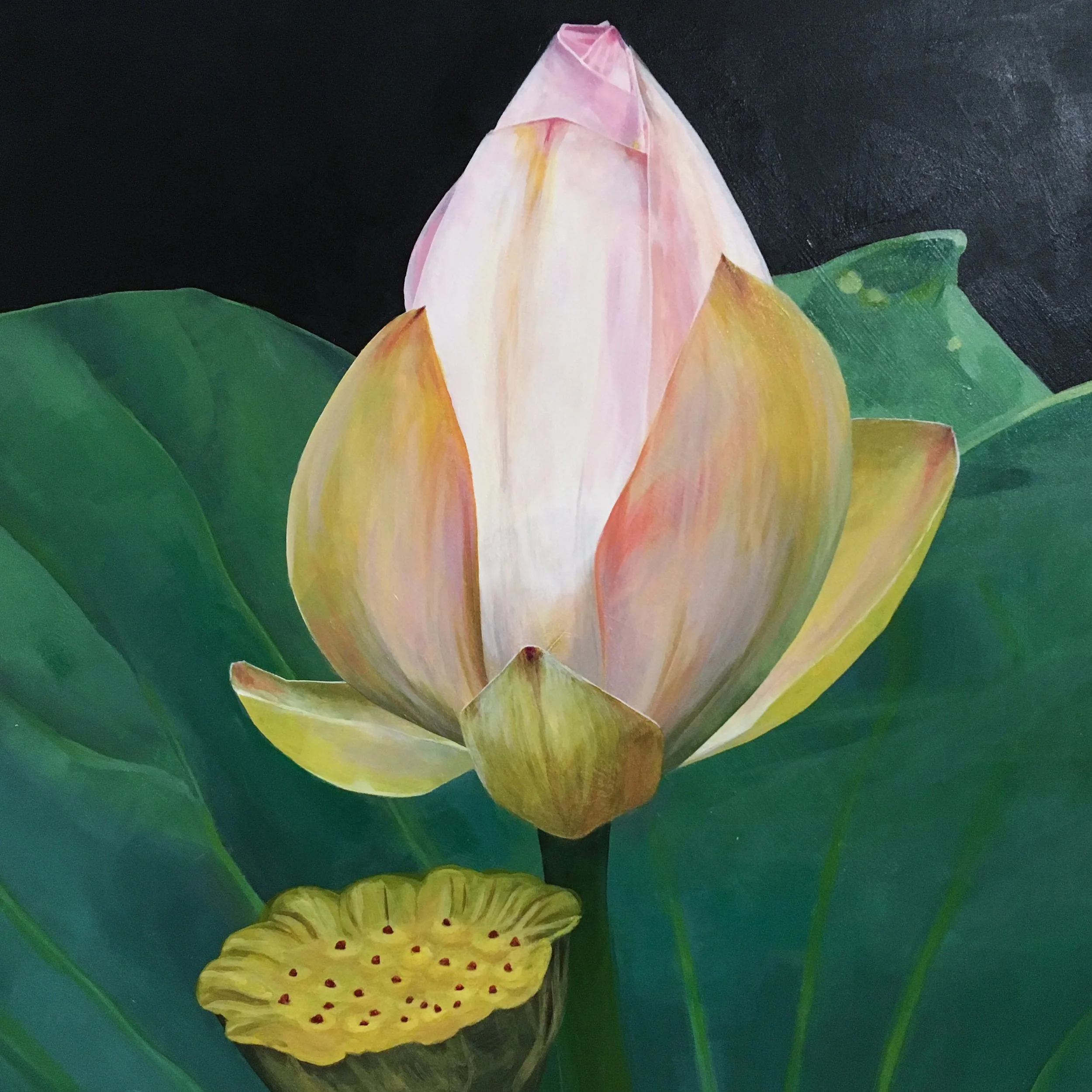   Lotus  12” x 12” Acrylic paint on wood panel  SOLD 