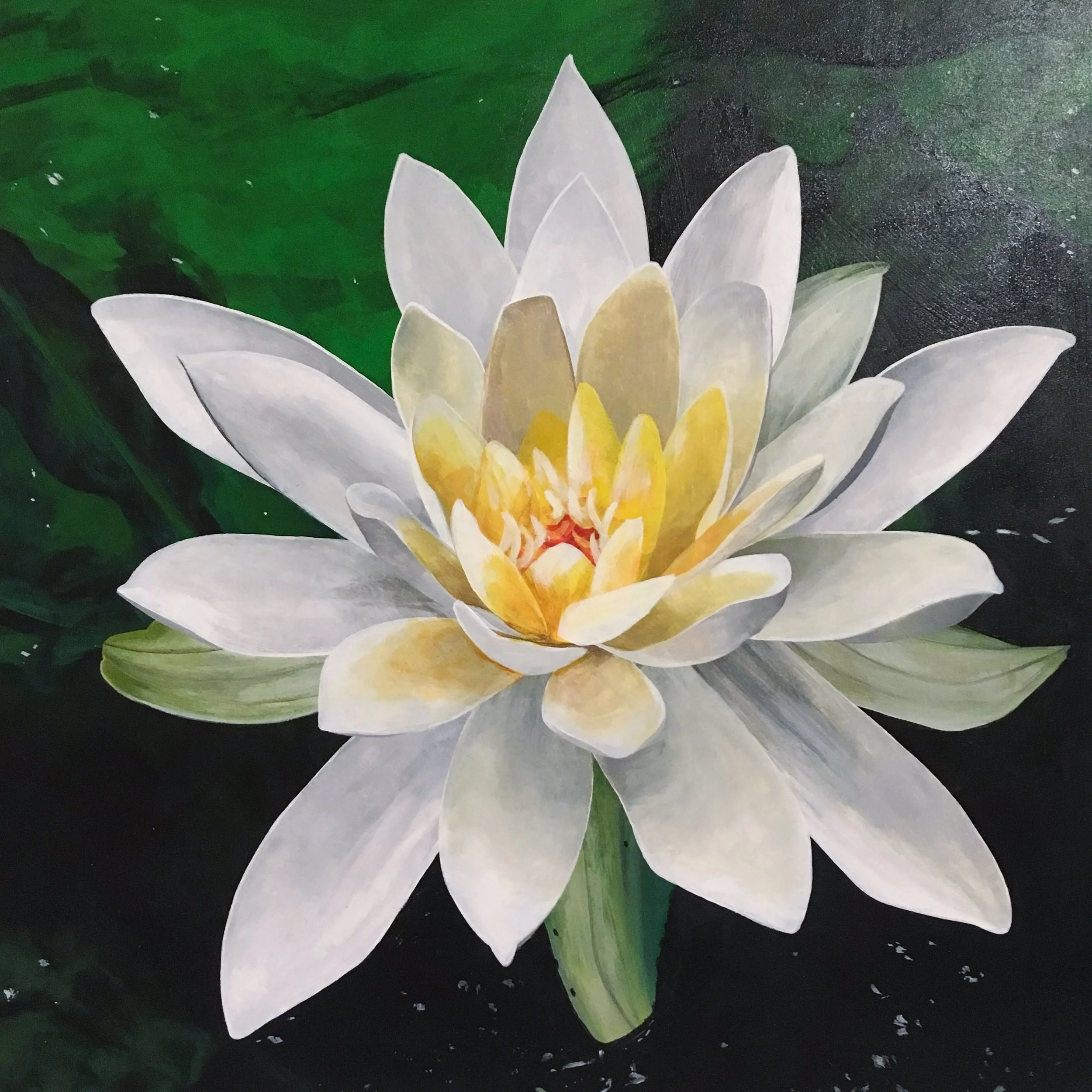   Lotus  12” x 12” Acrylic paint on wood panel  SOLD 