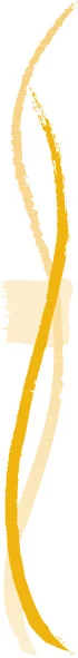 seattlerolfer_logo_70.jpg