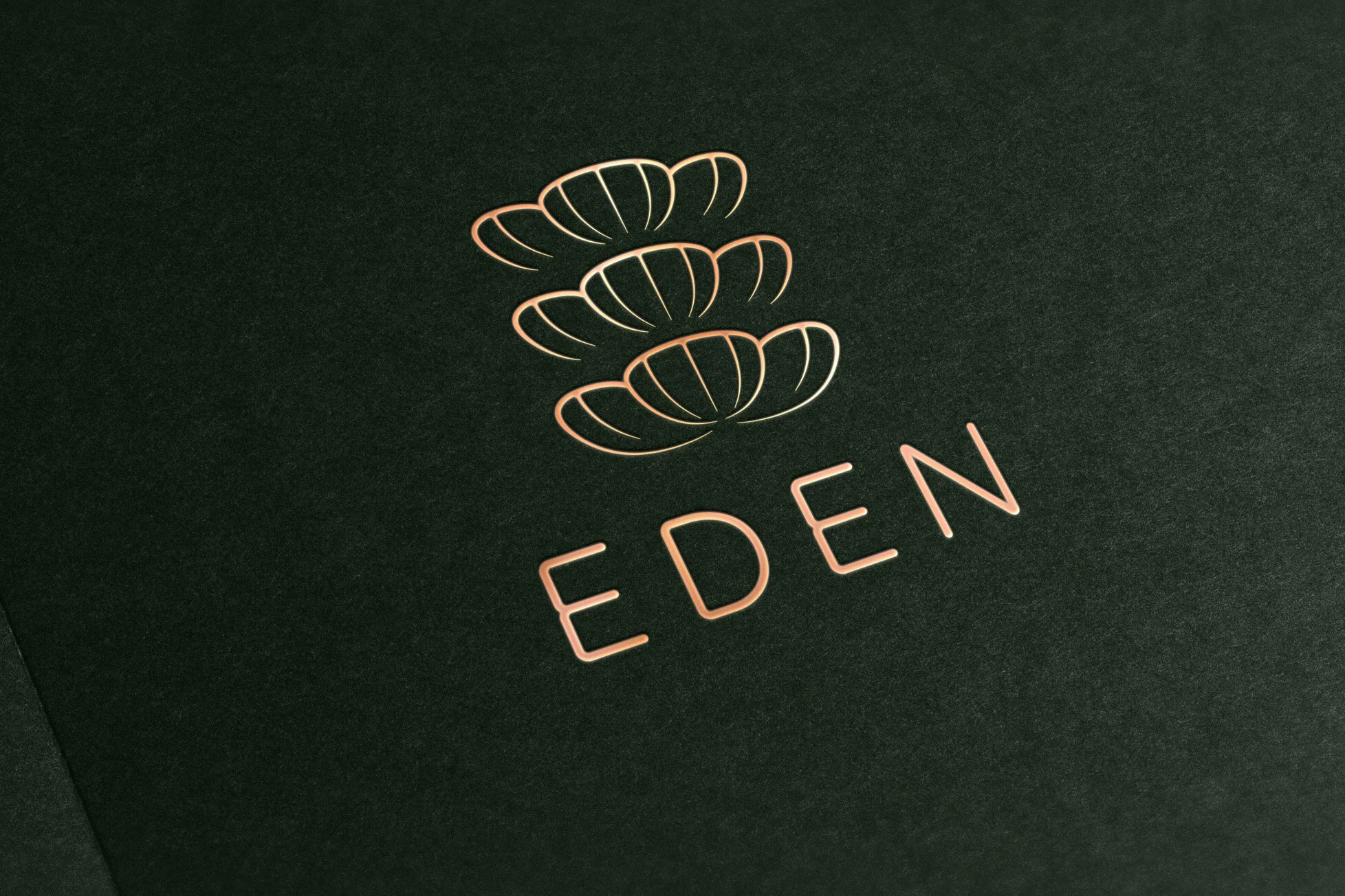8Partnership_Eden_006.jpg