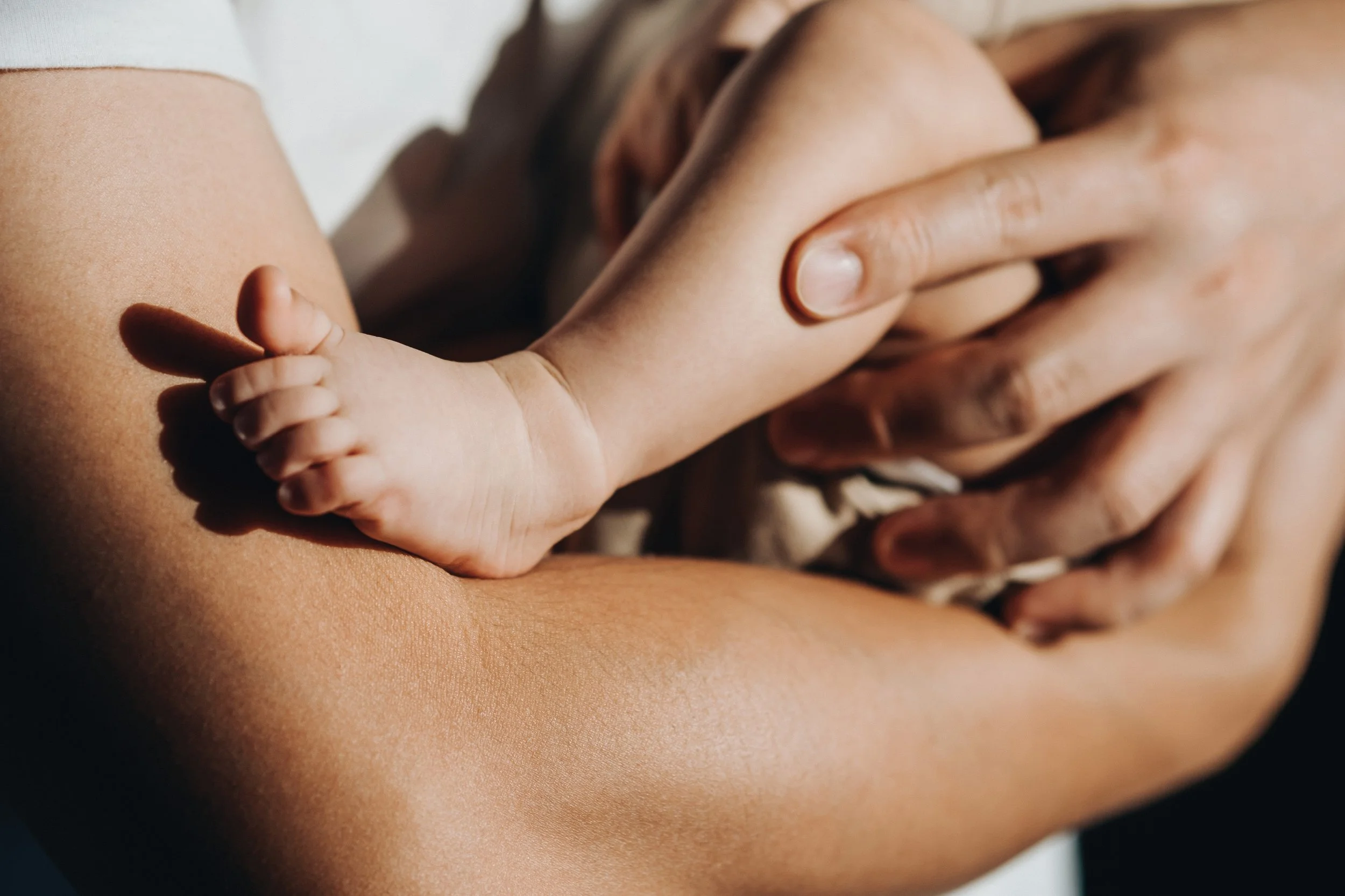 Bayside_Website_1260x840 3.jpg