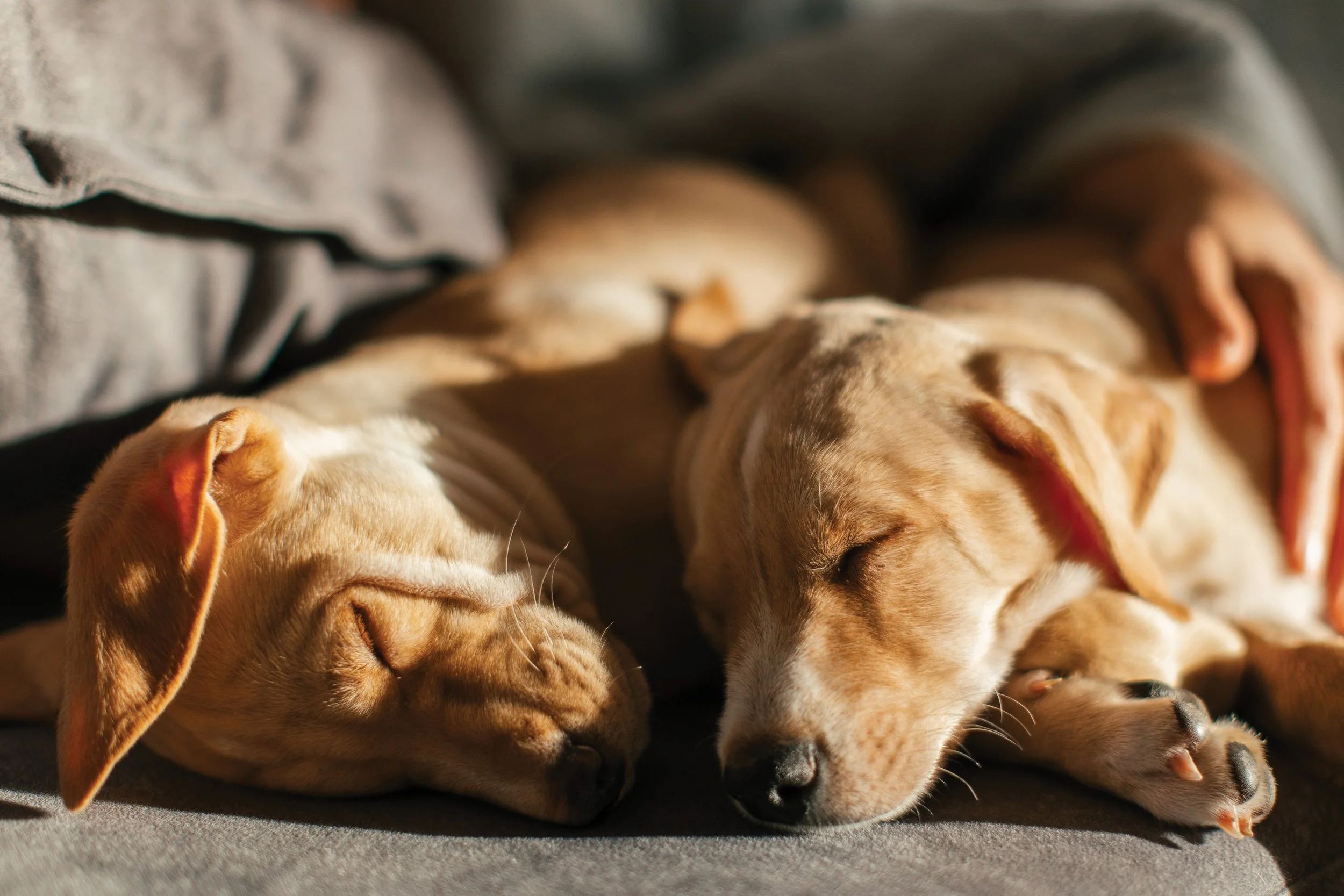 Bayside_Website_1260x840 7.jpg