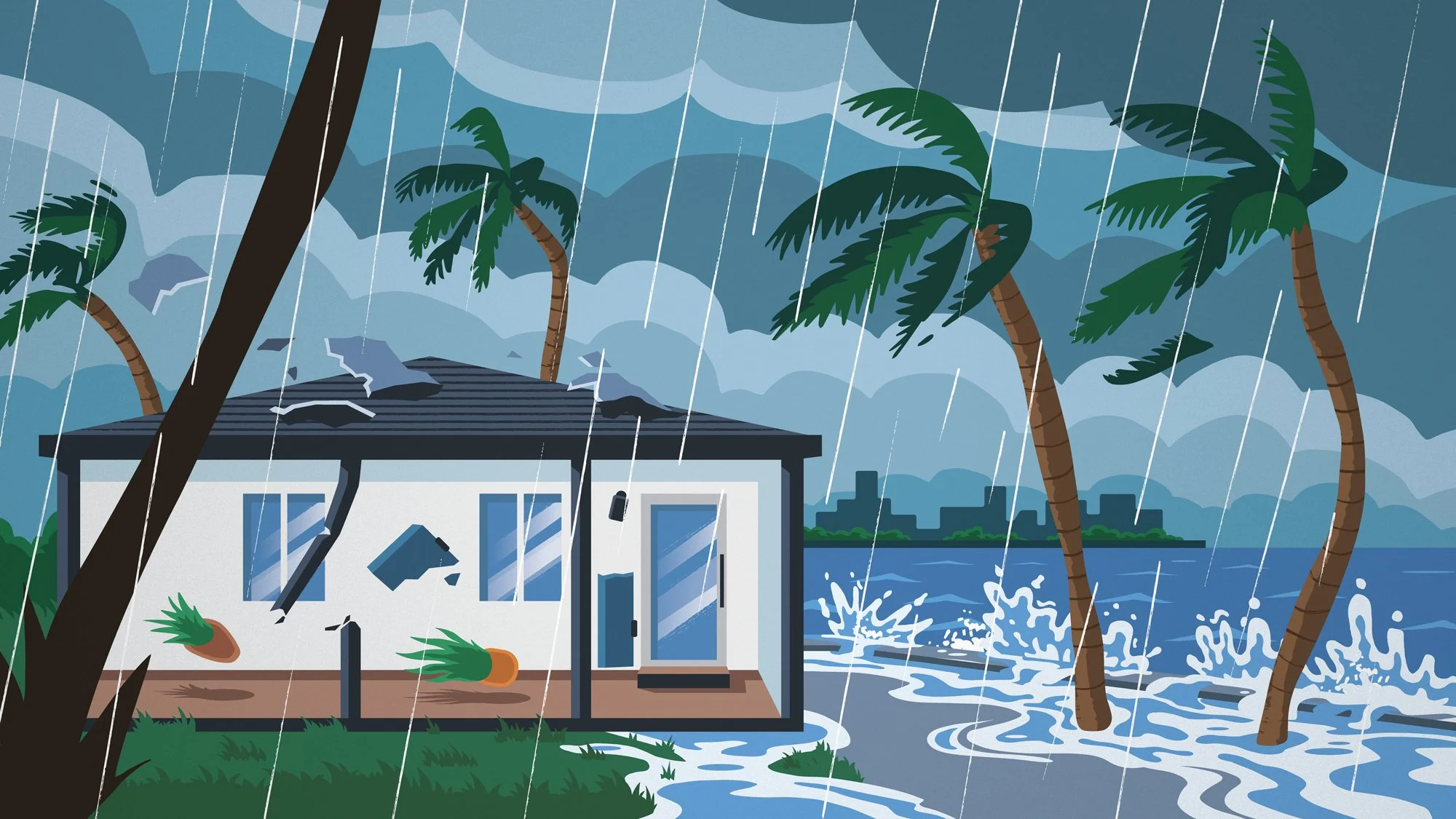 PE_Campaigne_Florida_Hurricane_File_Web.jpg