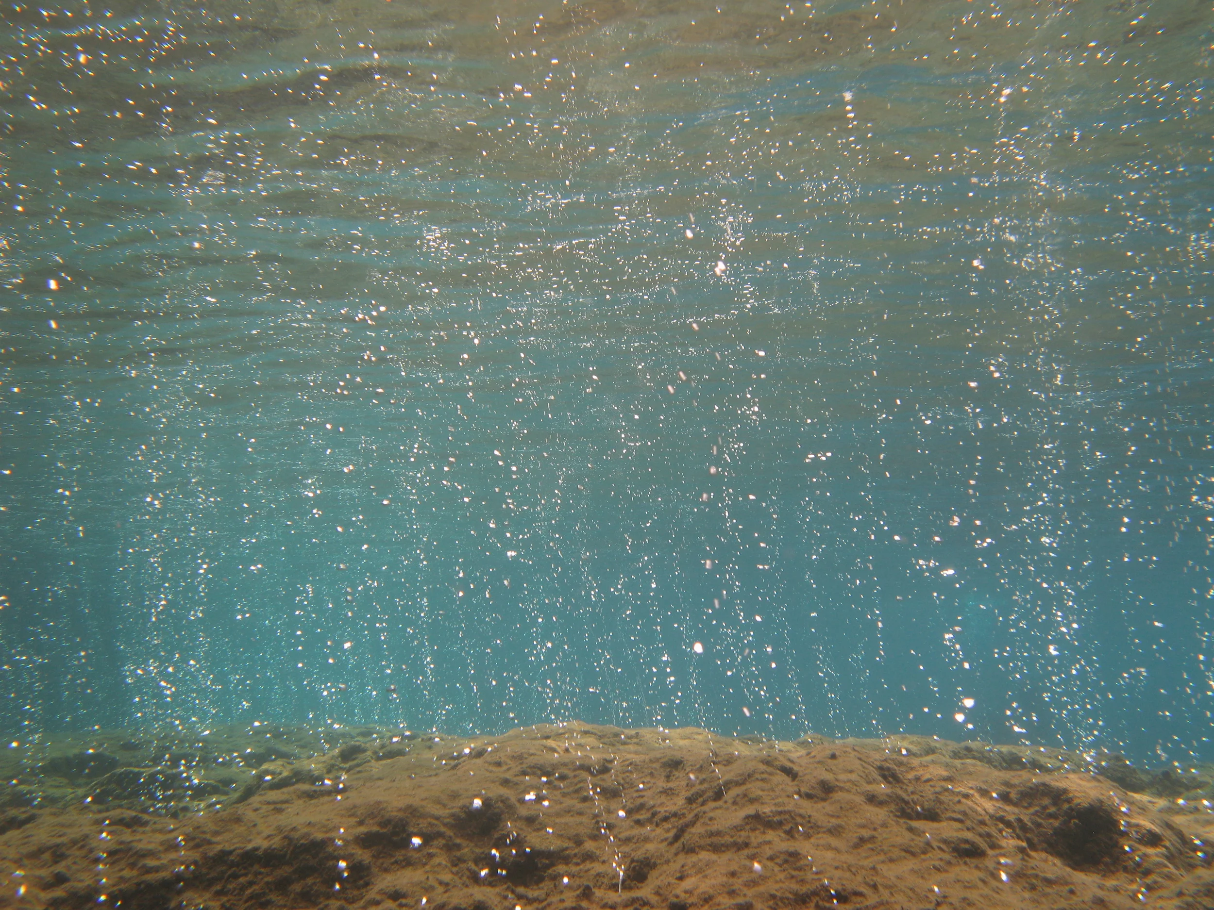 Carbon dioxide vents provide insight into how ocean life may change in the future.