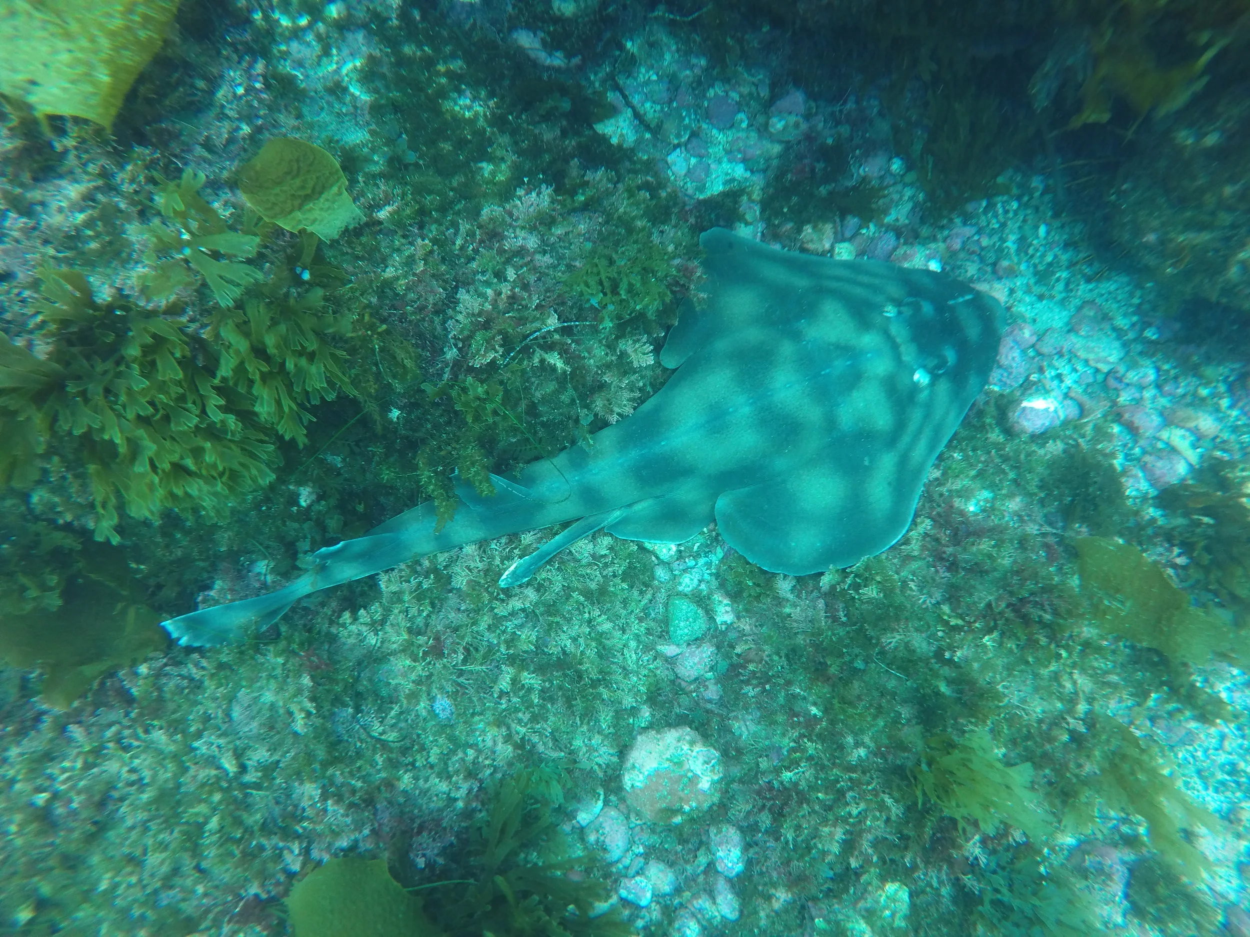 GOPR1562.JPG