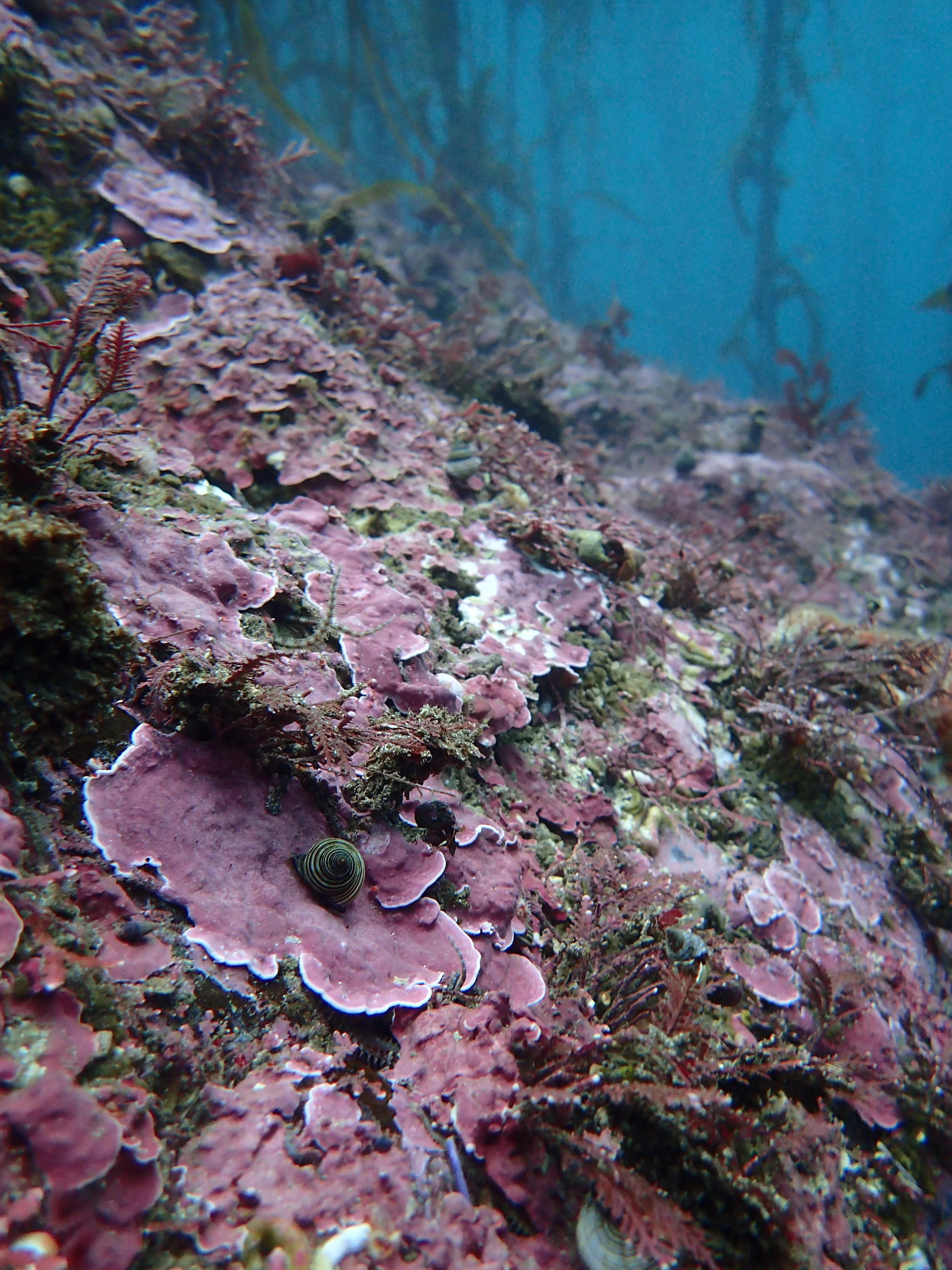 P1120289.JPG