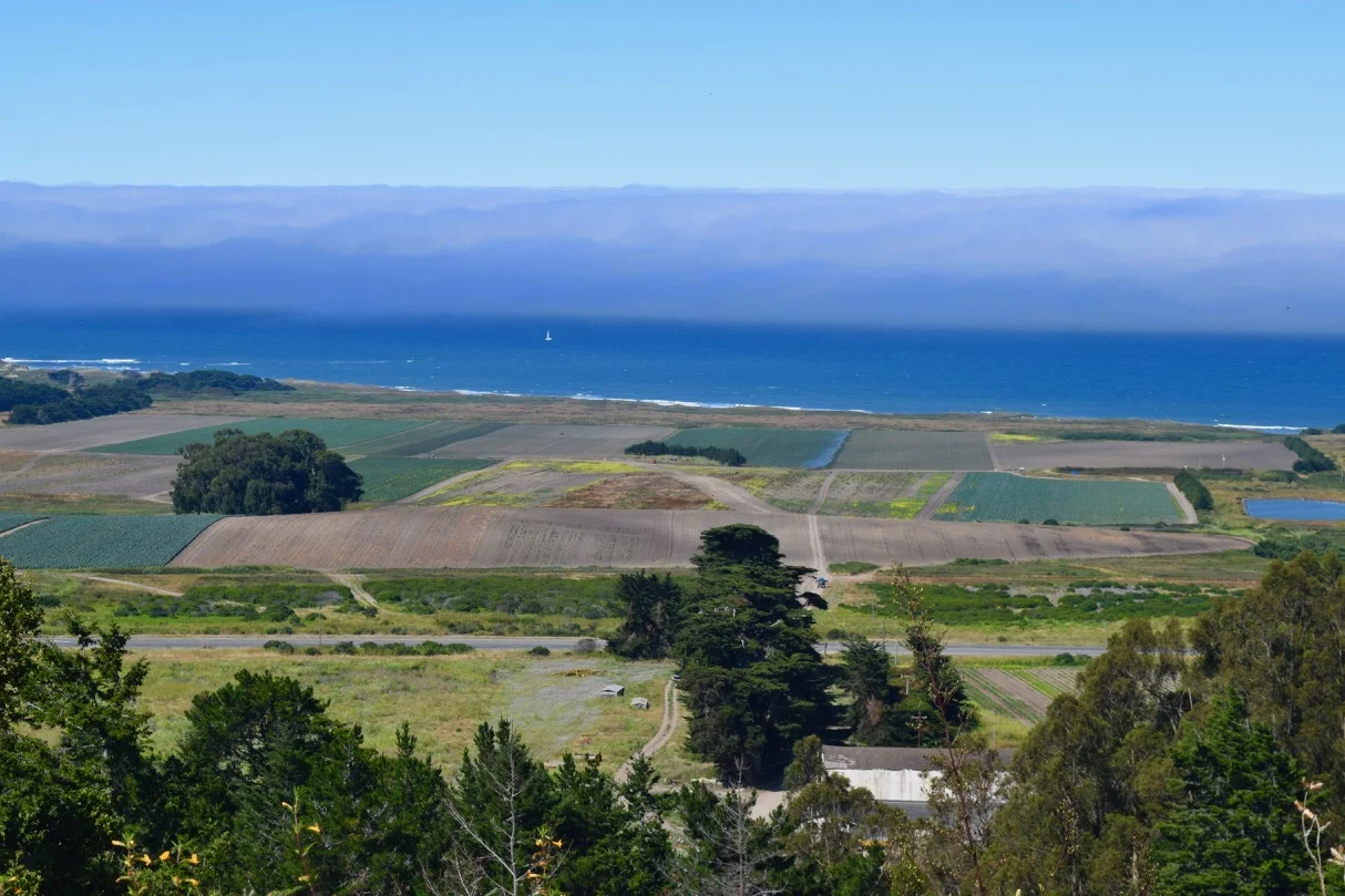 Cascade Ranch is 418 acres of land, the majority of which stretches from Highway 1 down to the Pacific Ocean. To the south (left, on this image) is Ano Nuevo State Park, famous for its elephant seal breeding ground. To the north and east are protected lands owned by the state of California. Because of this unique positioning in the landscape, Cascade has great potential to contribute a plethora of ecosystem services, if managed with that intention.