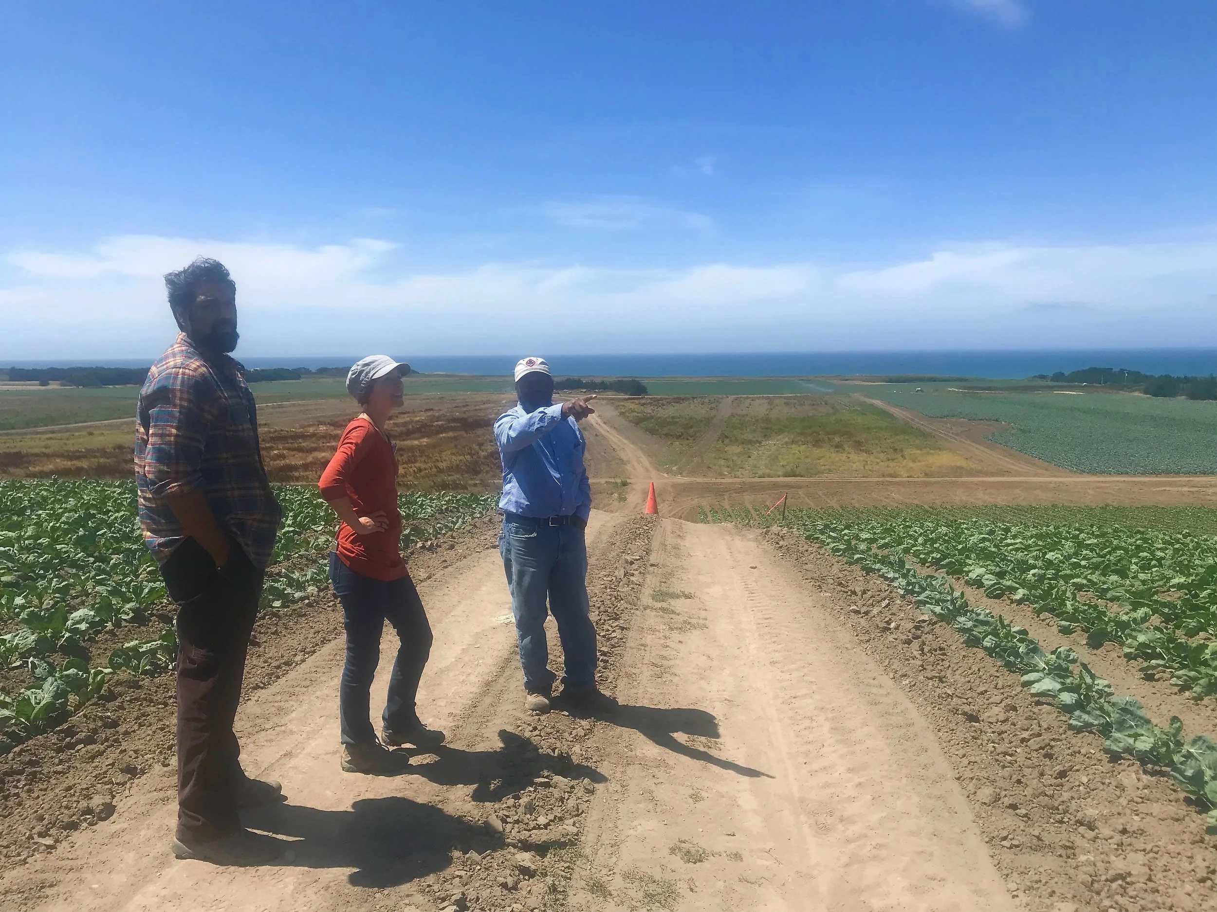 Leonard Diggs (pointing, in blue), Director of Operations at Pie Ranch, is spearheading the efforts to transform Cascade Ranch into a regenerative landscape for next-generation farmers. Here, he discusses this vision with Samir Doshi (left) and Marit Wilkerson (center) who have diverse and impressive backgrounds in conservation, community building, and policy.